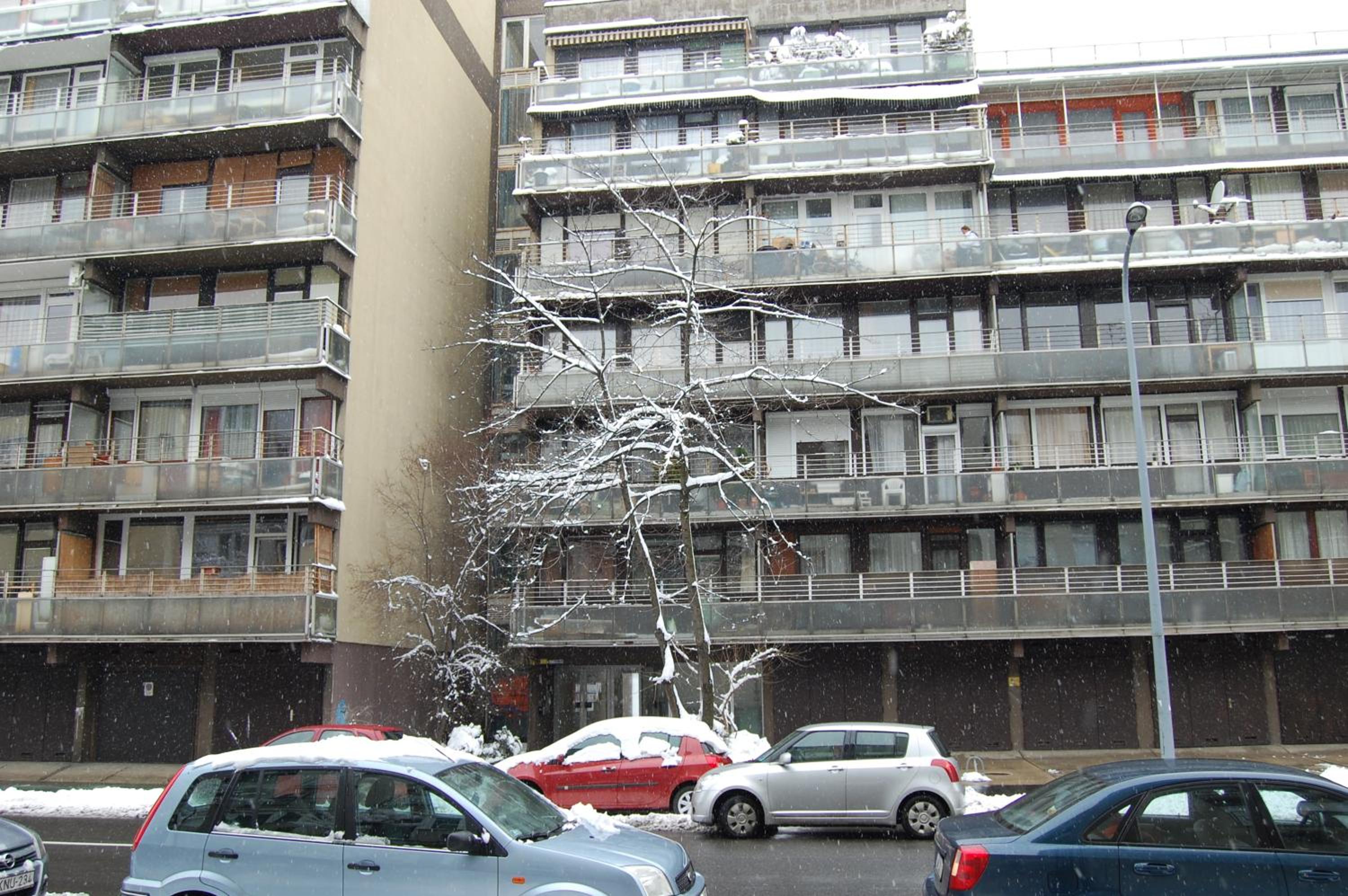 Photo 12