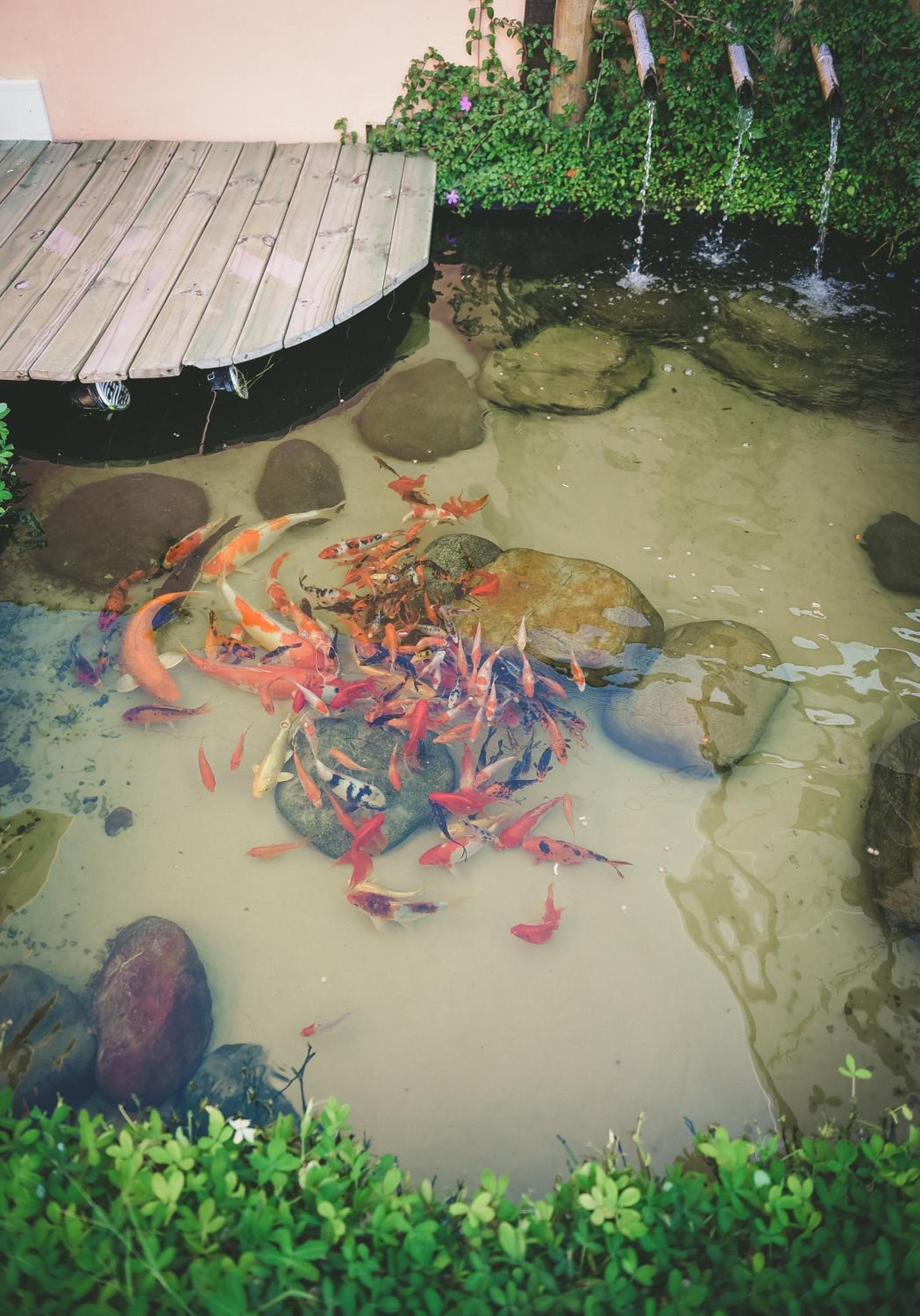 Recanto das Carpas