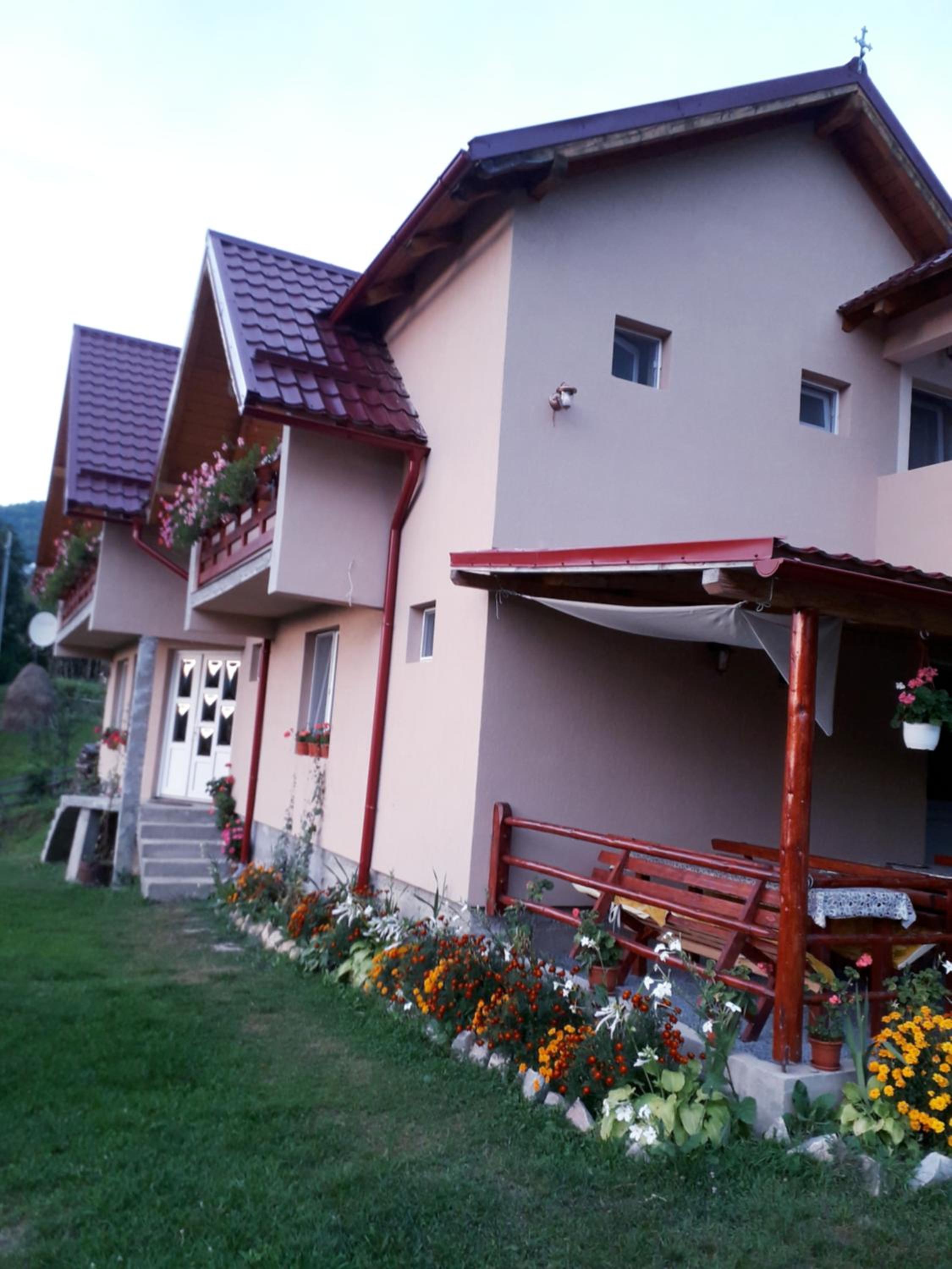 Photo 46