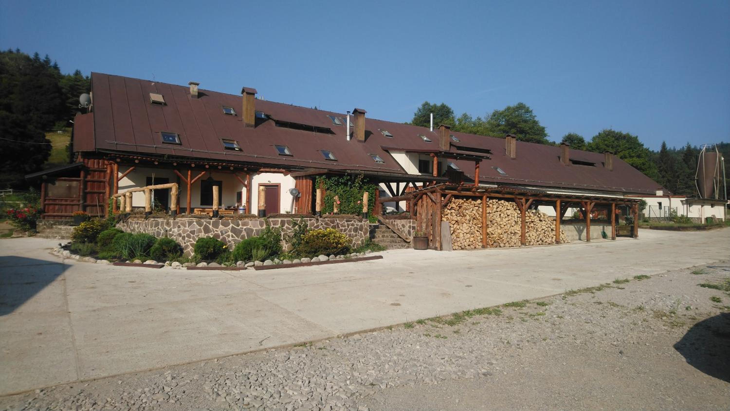 Photo 46