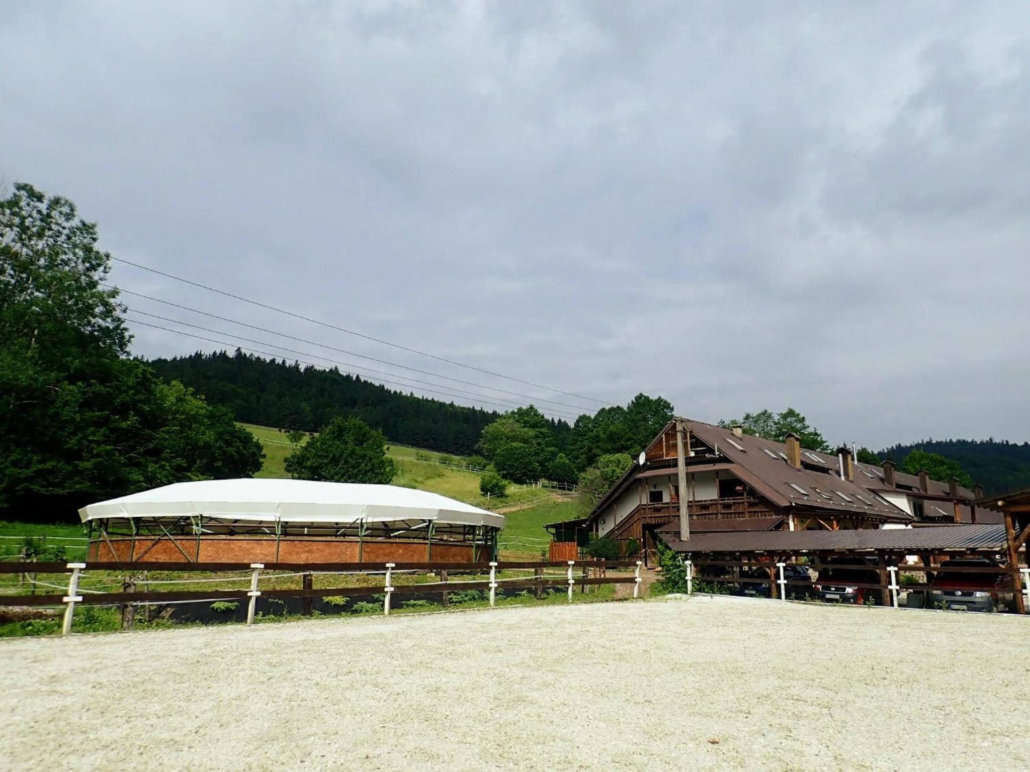 Photo 45