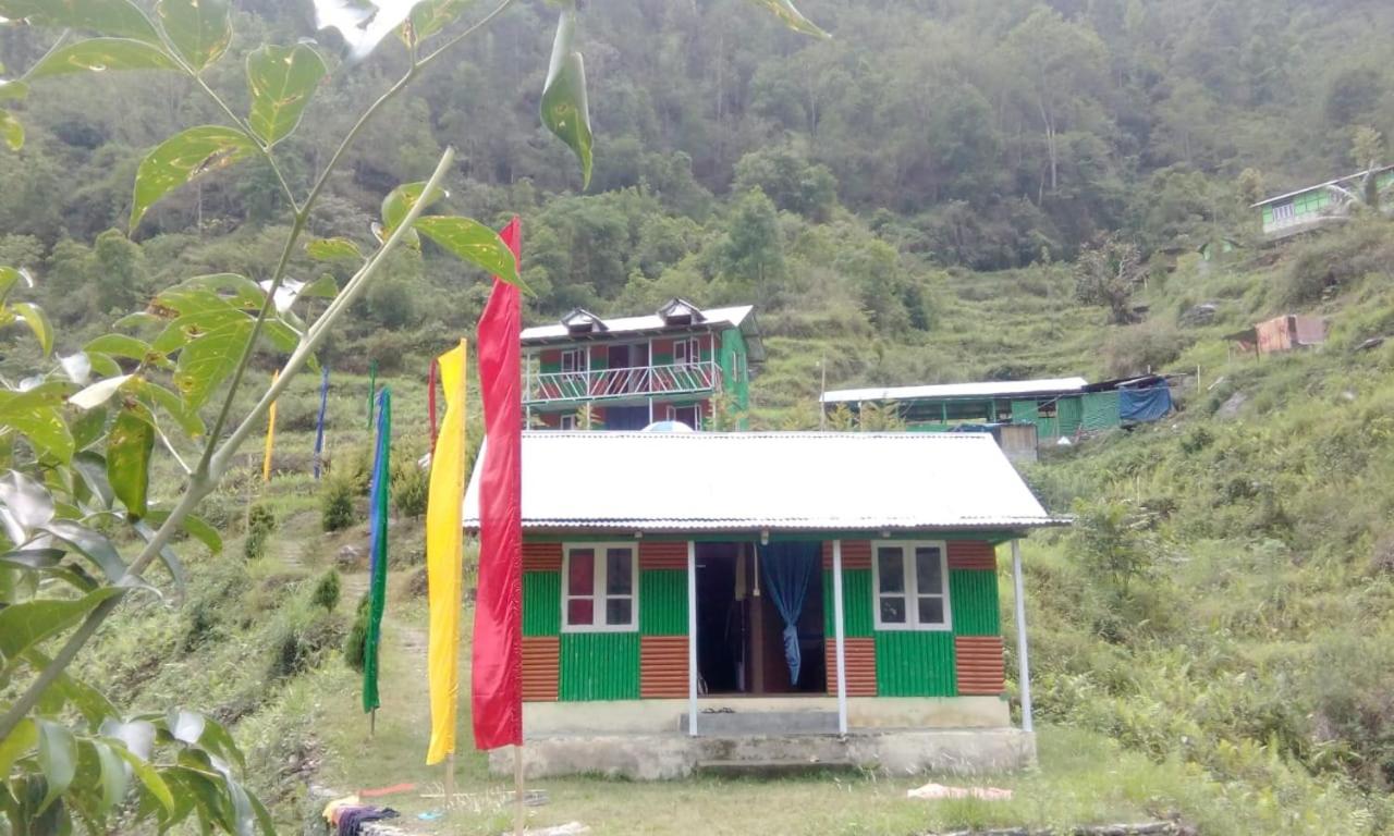 Photo 8
