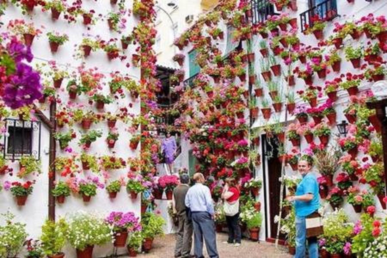 Apartamento con encanto en Córdoba view 4