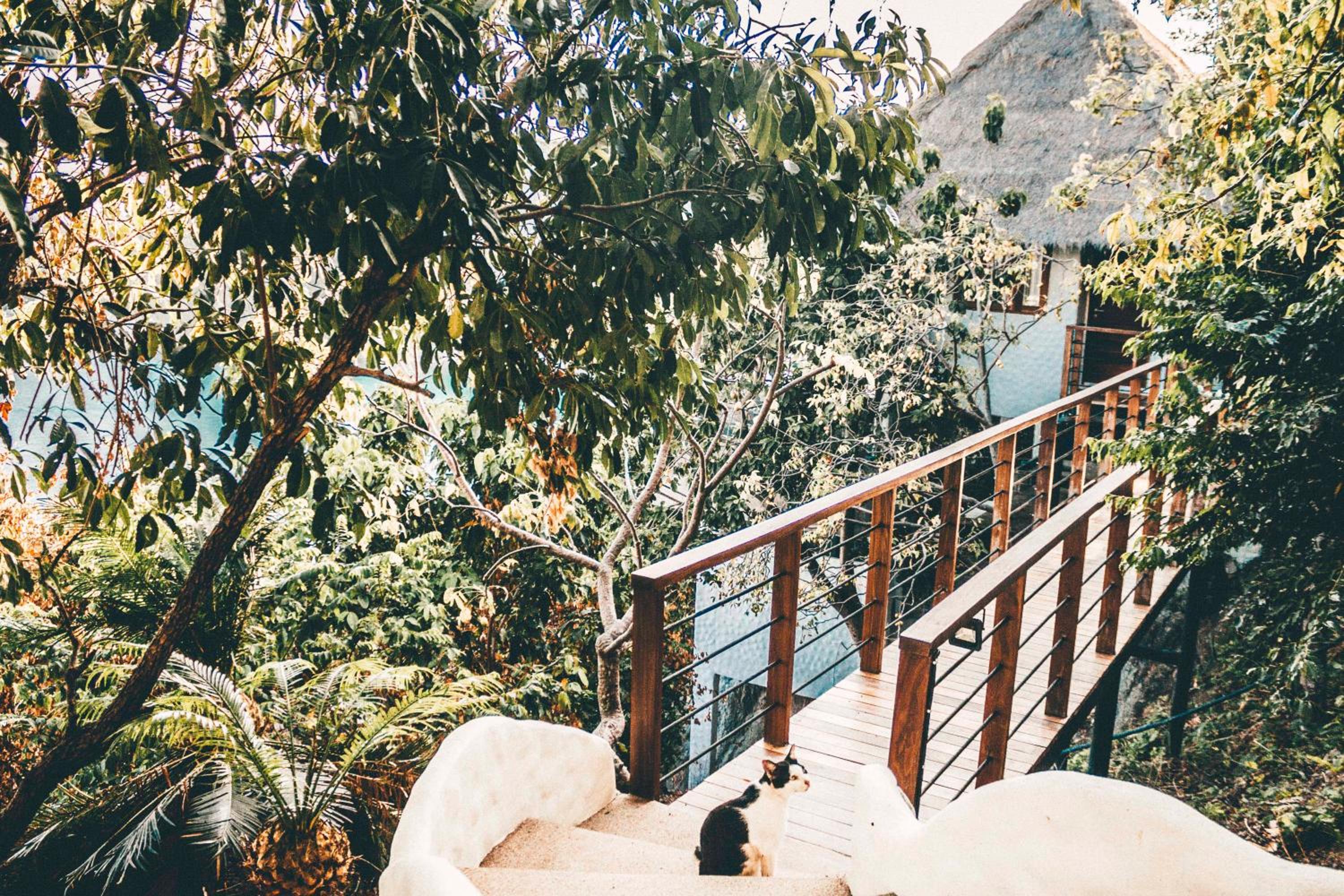 Hotel Langkhai Garden - Image 1