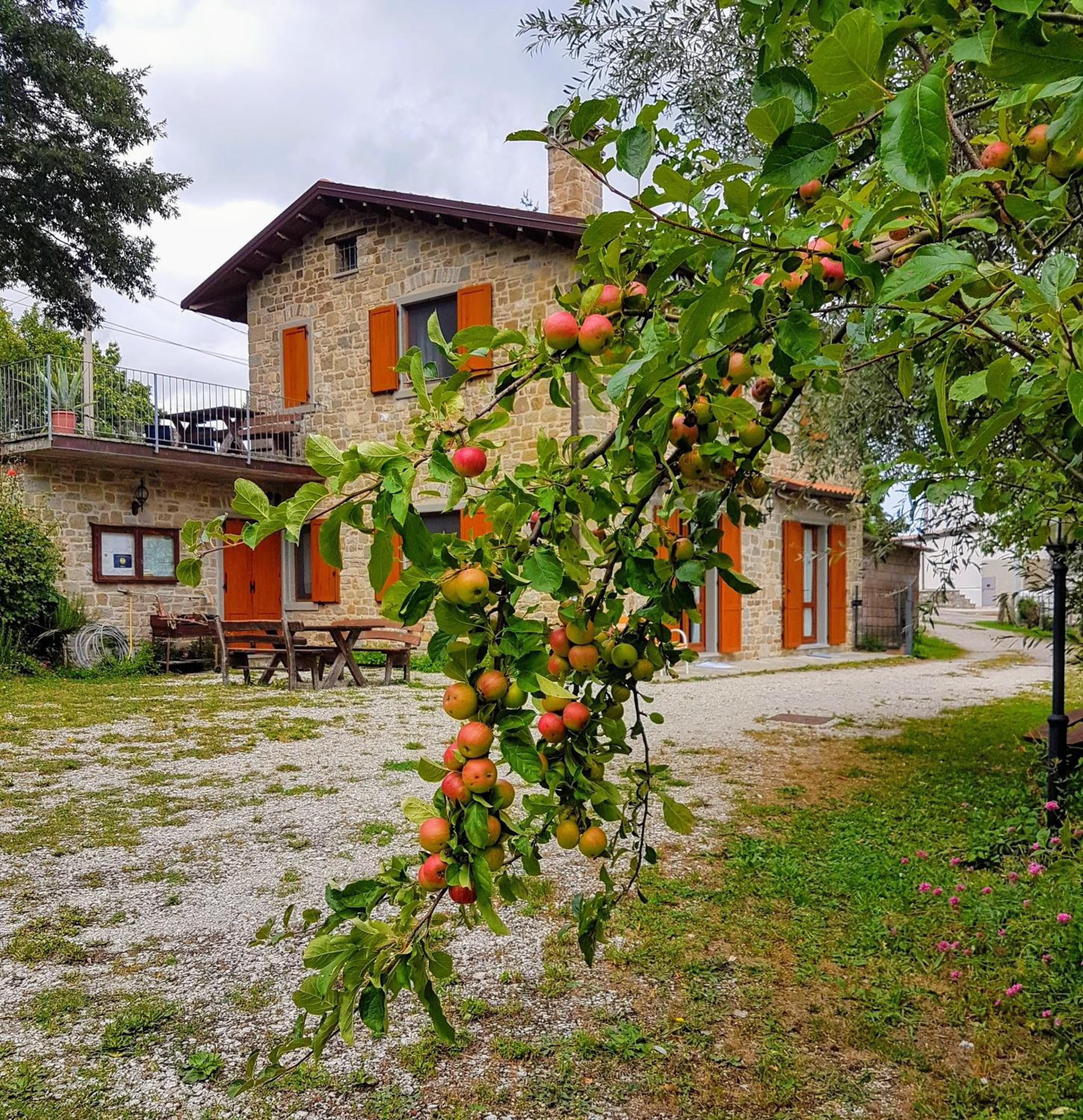 Agriturismo Il Falco del Monte Fumaiolo view 5