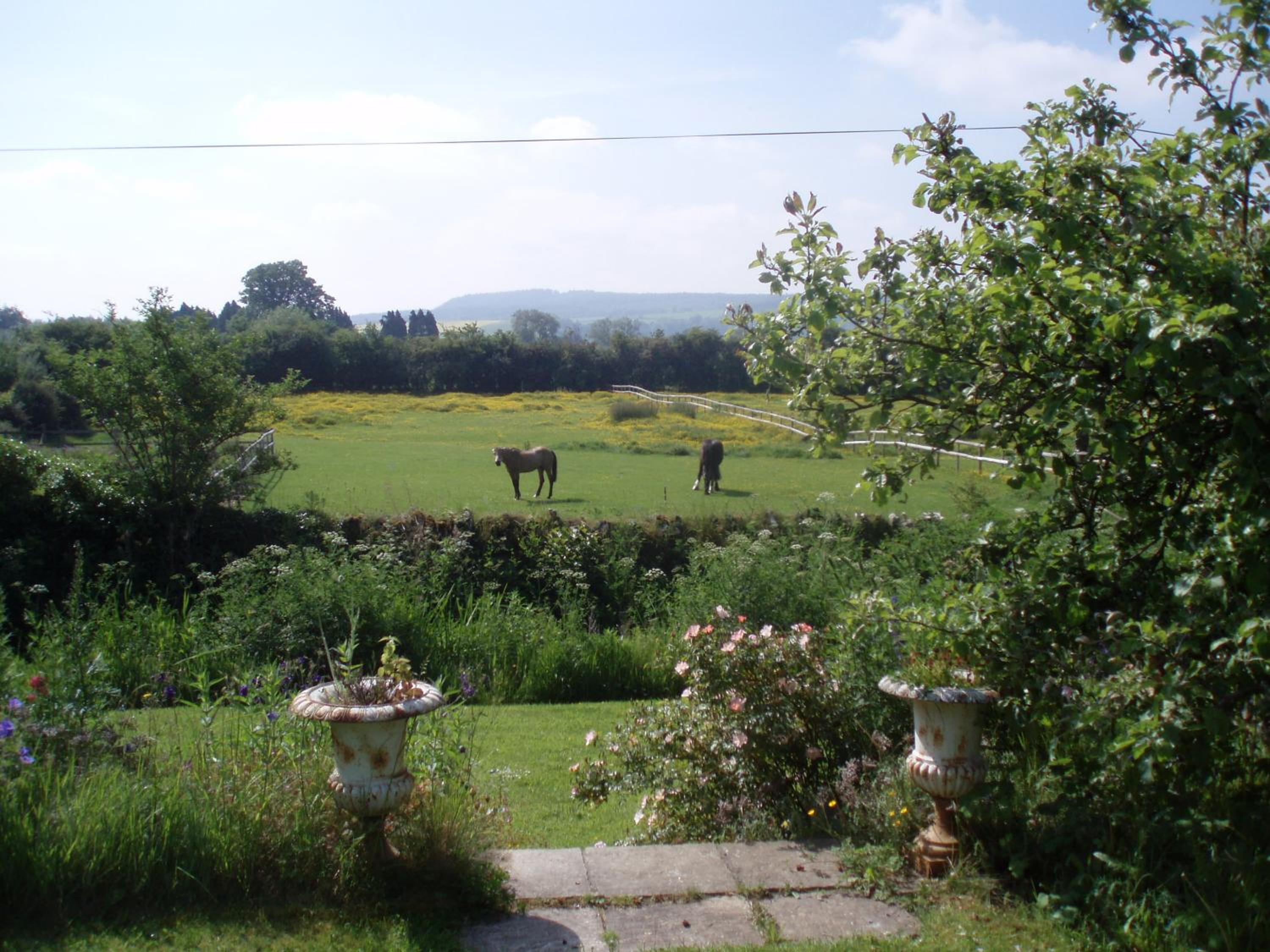 Lower Buckton Country House view 5