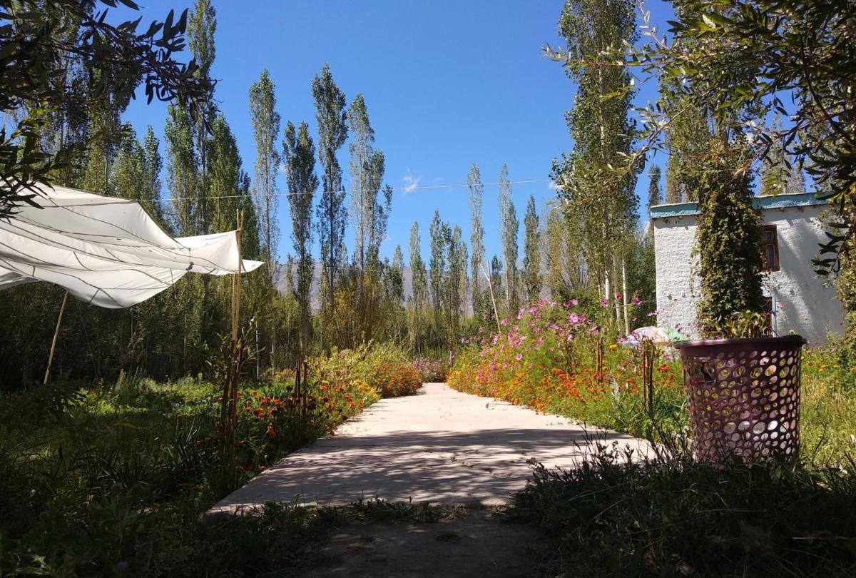 Photo 20