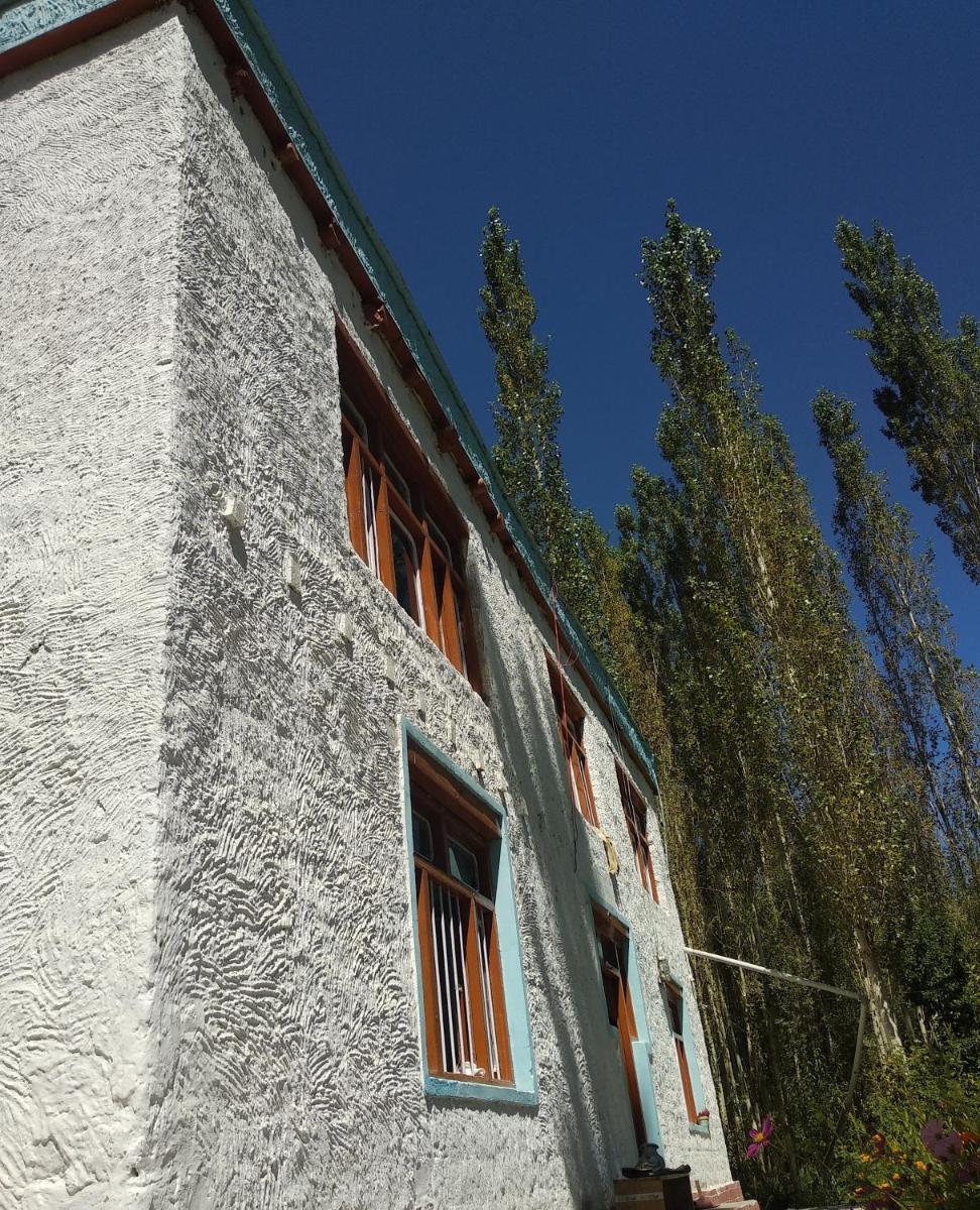 Photo 39
