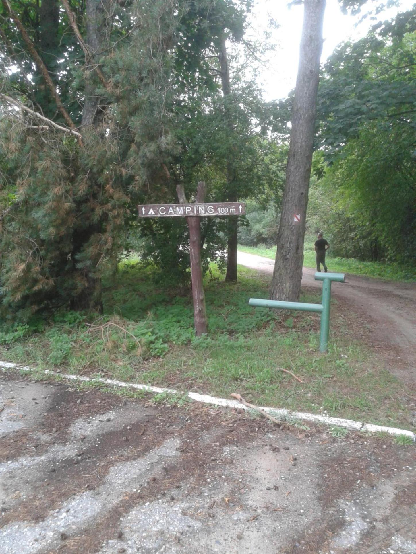 Photo 31