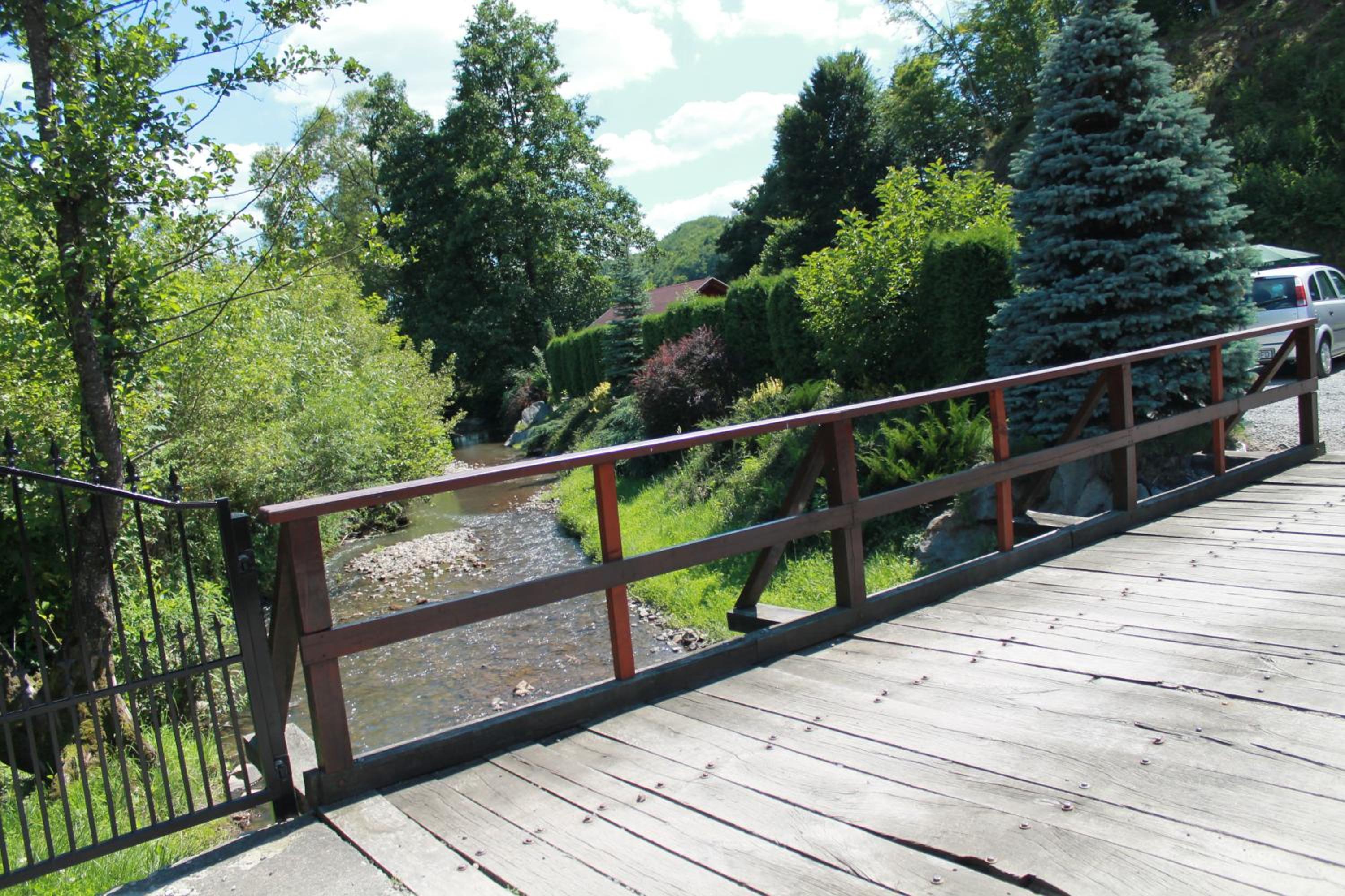 Photo 41