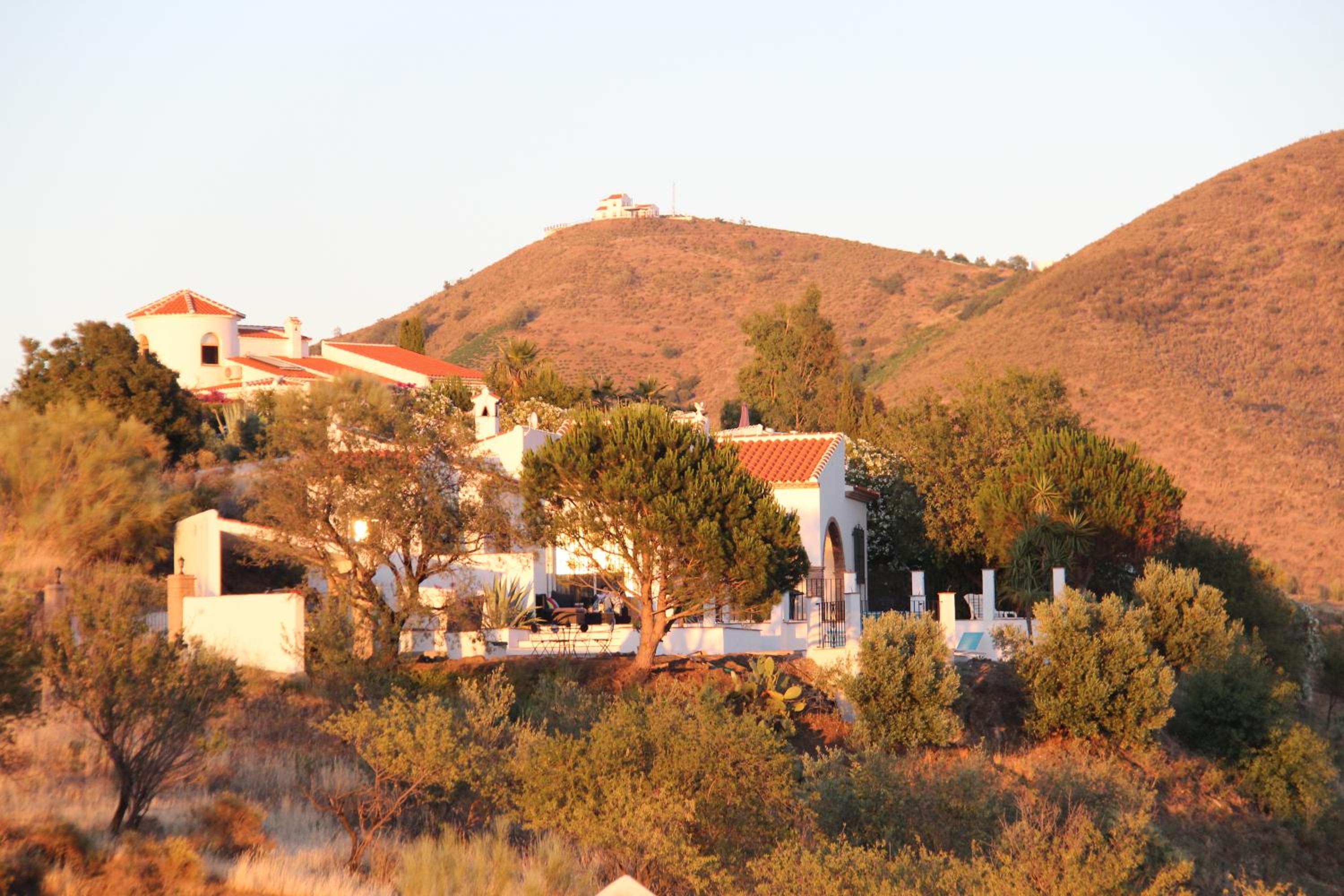 Photo 33