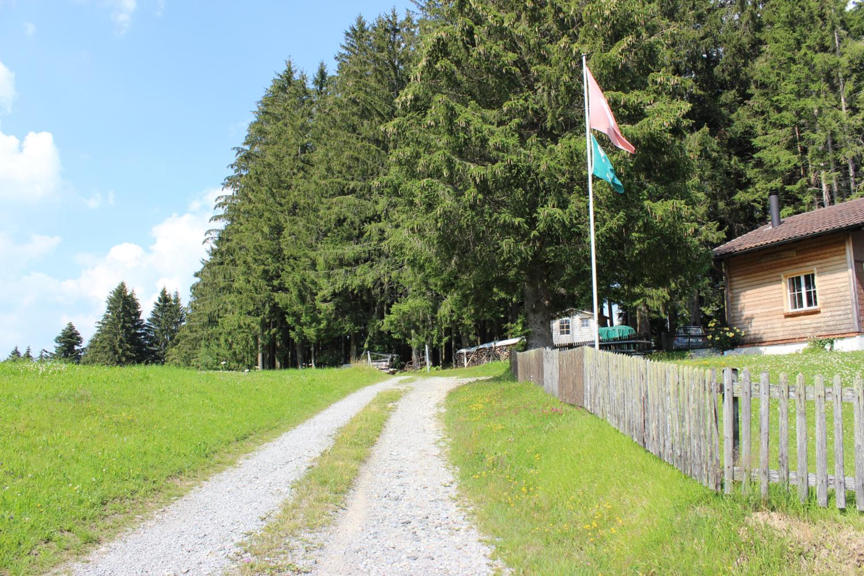 Photo 14