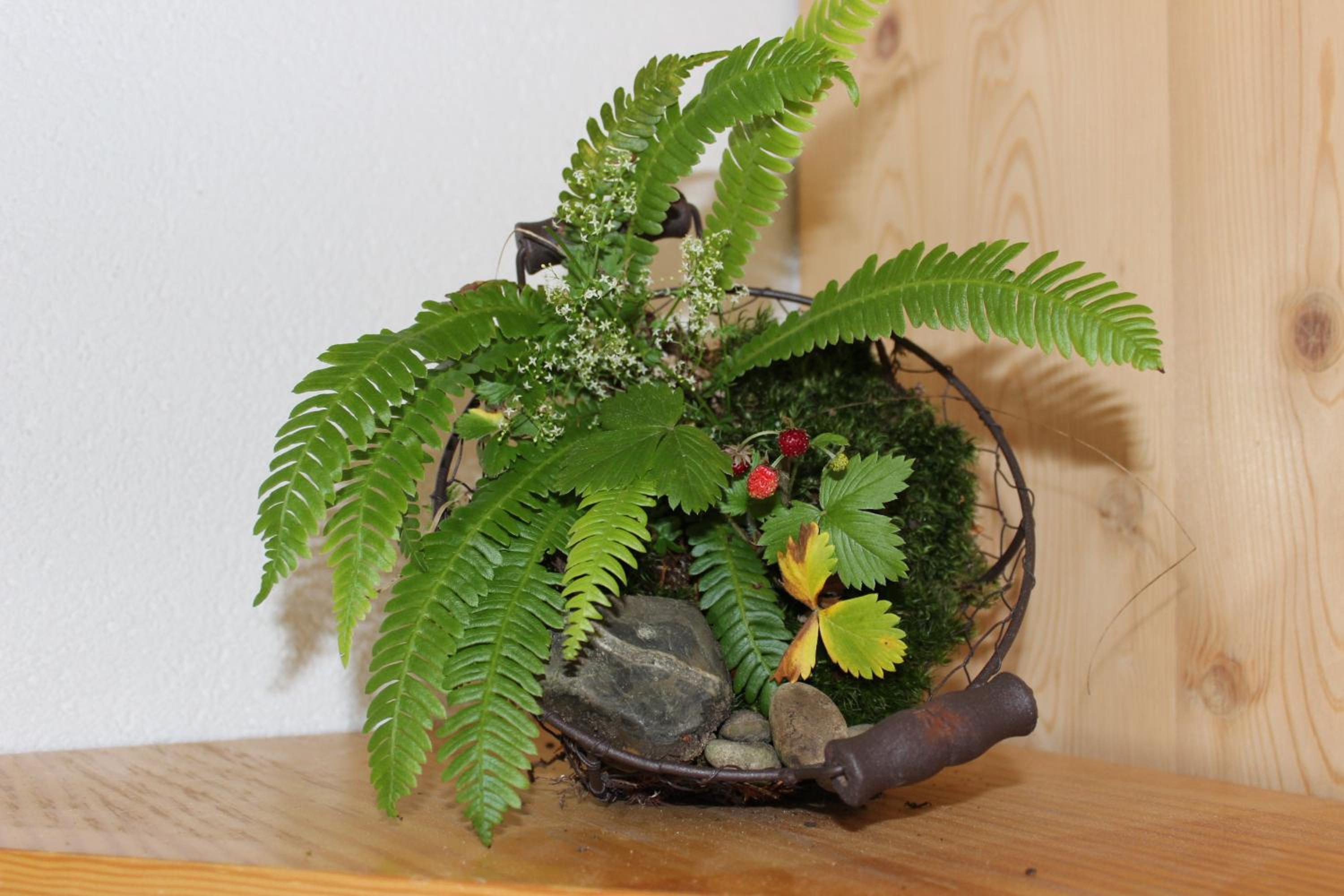 Photo 16