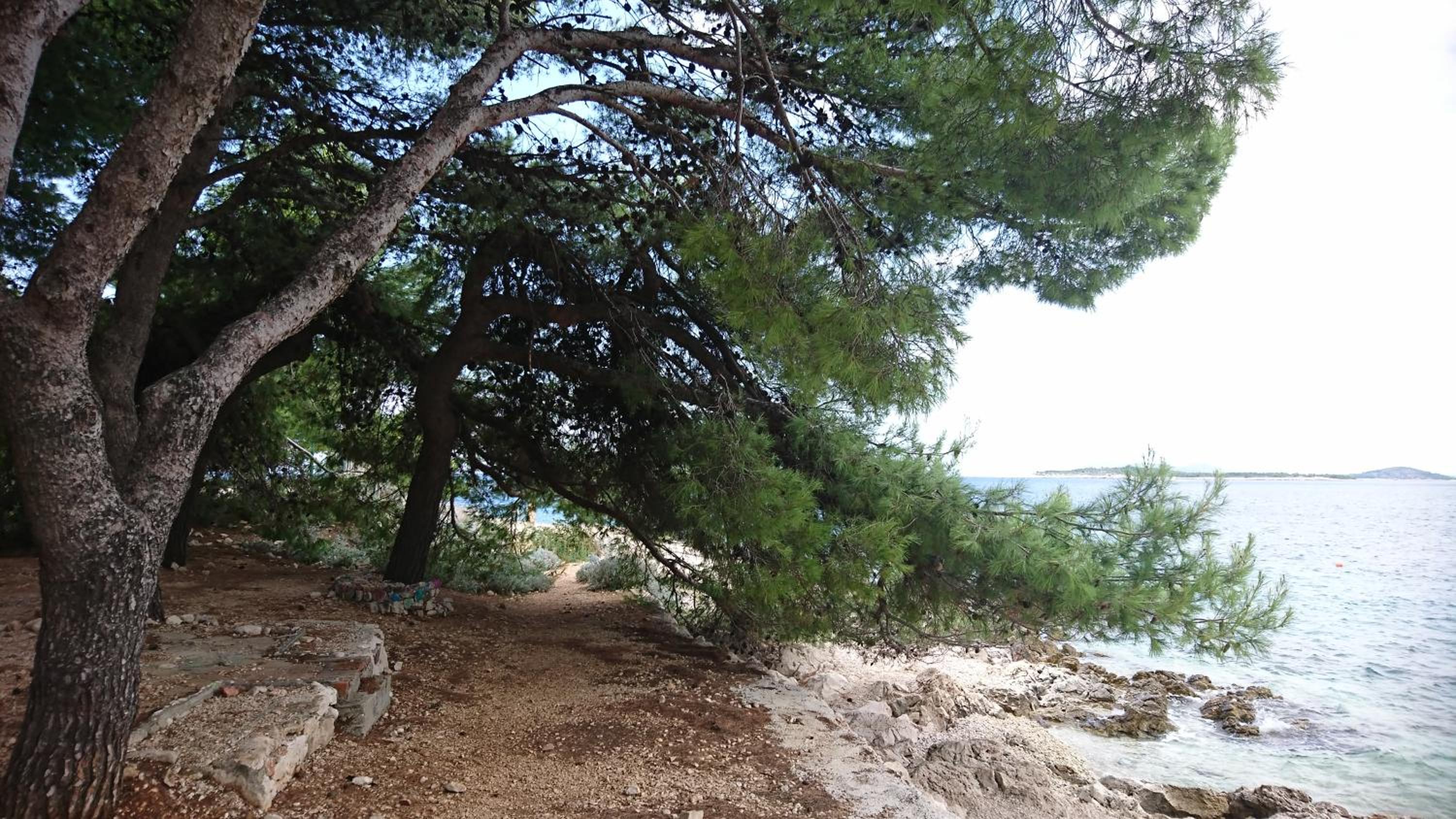 Apartmani Kocka view 4