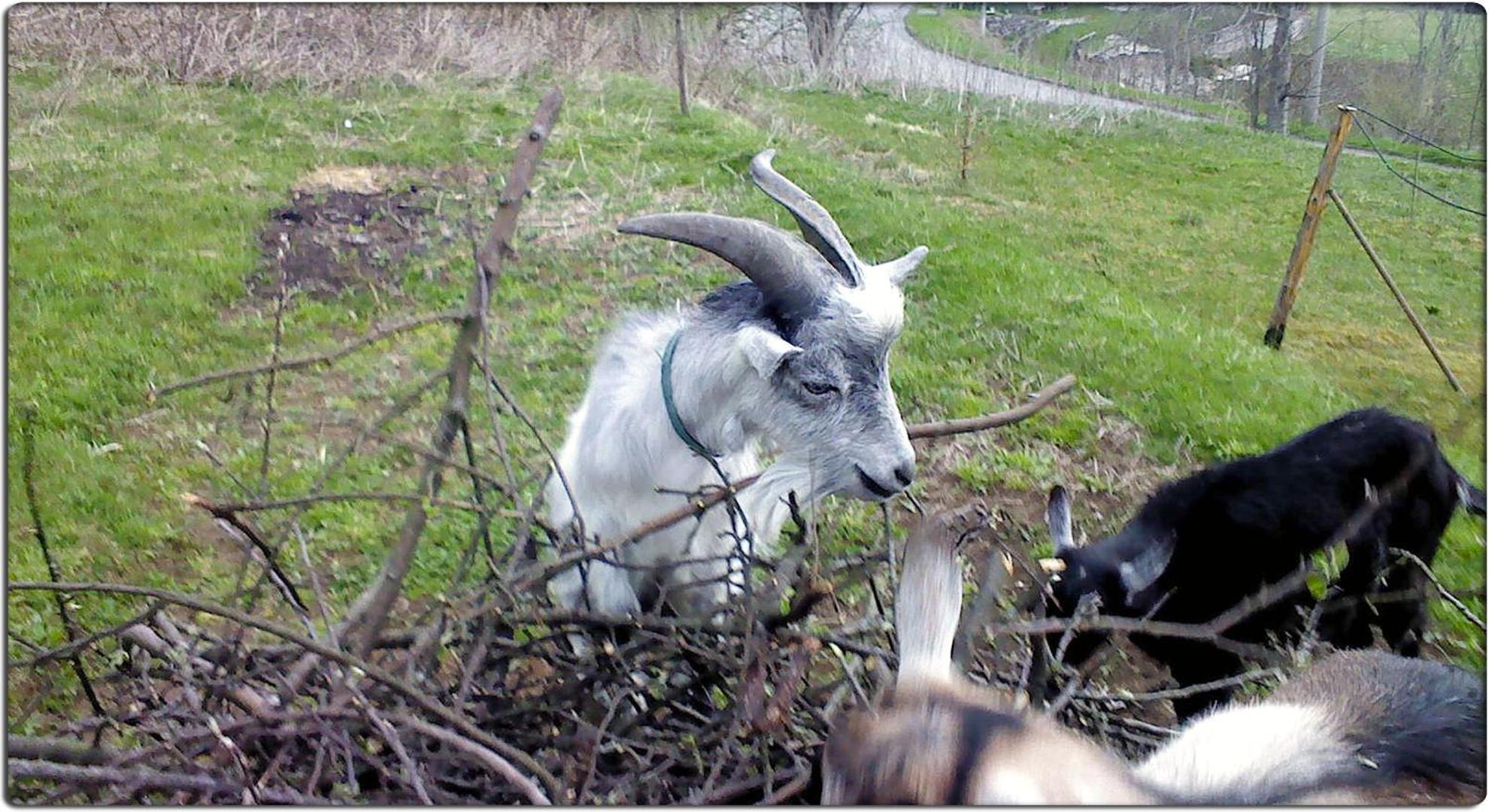 Photo 26