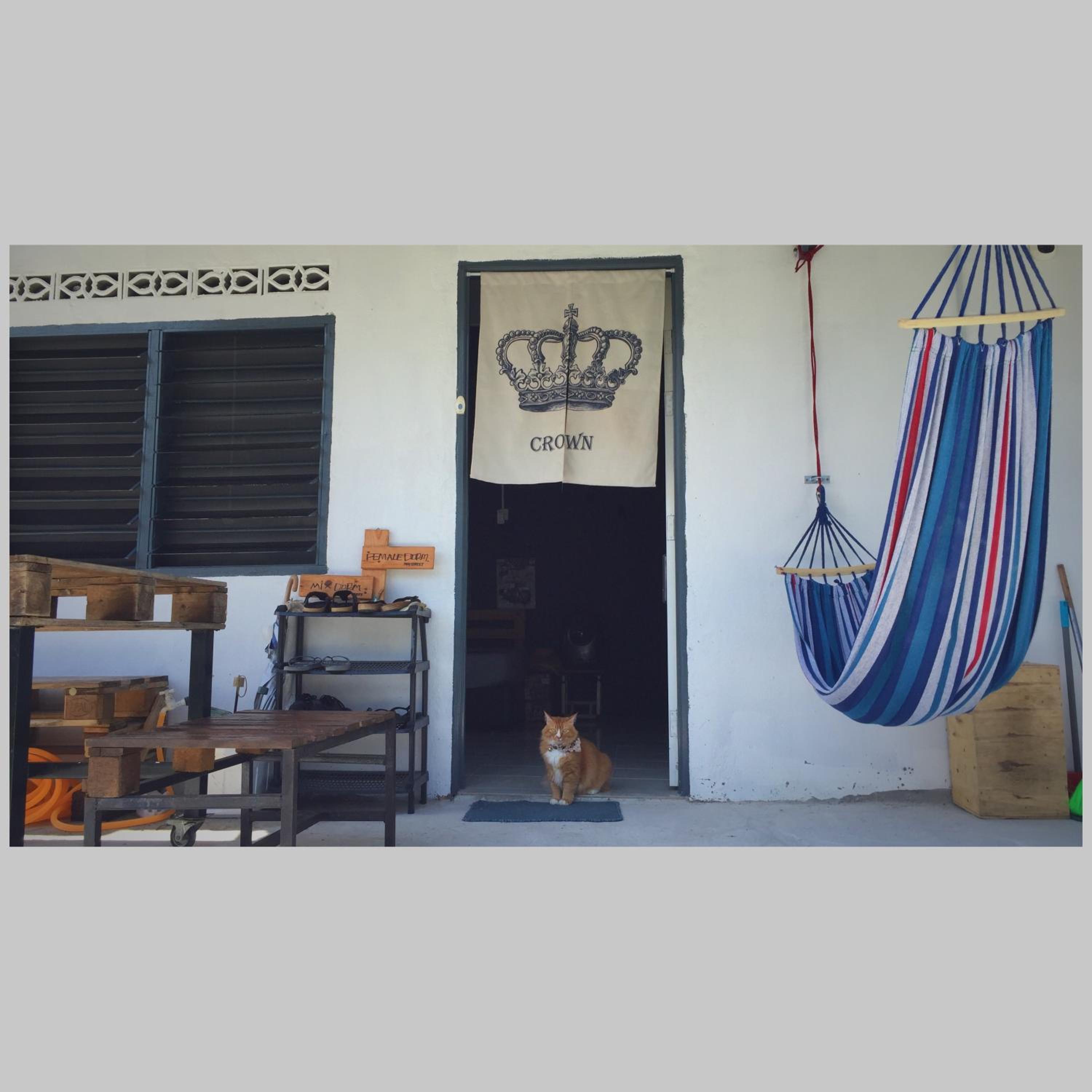 Photo 48