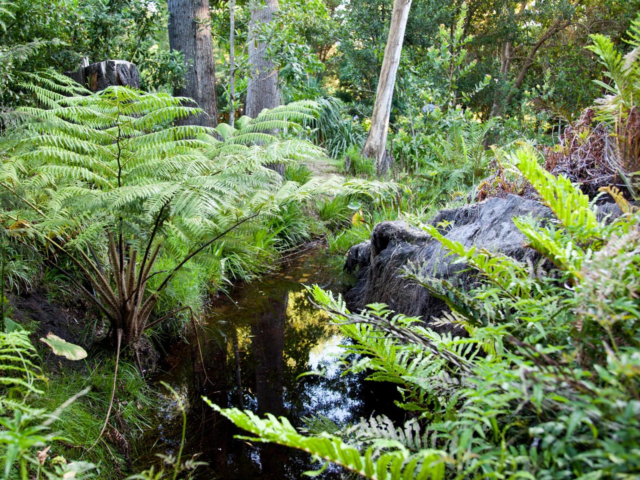 Andelomi Nature's Rest