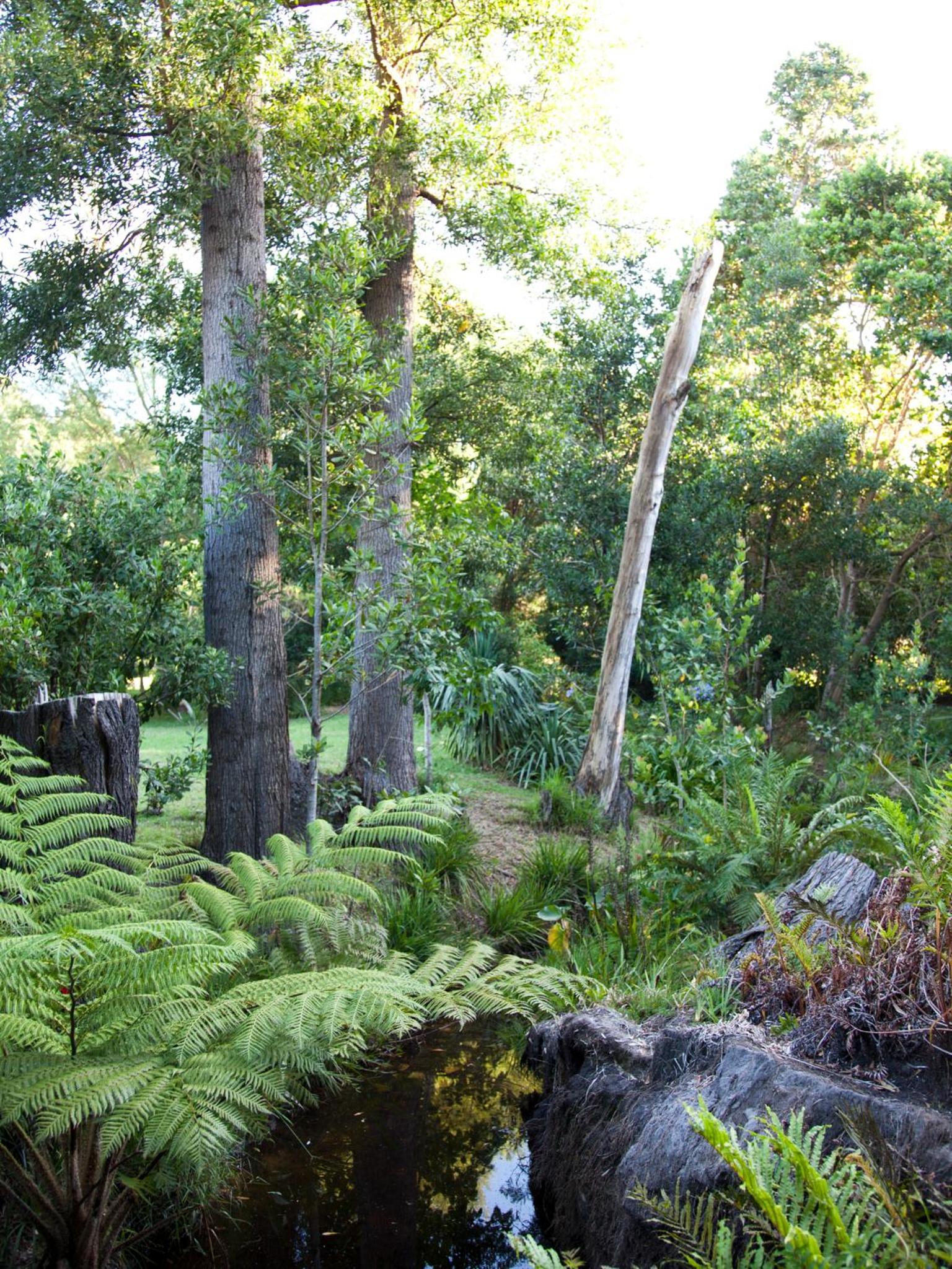 Andelomi Nature's Rest