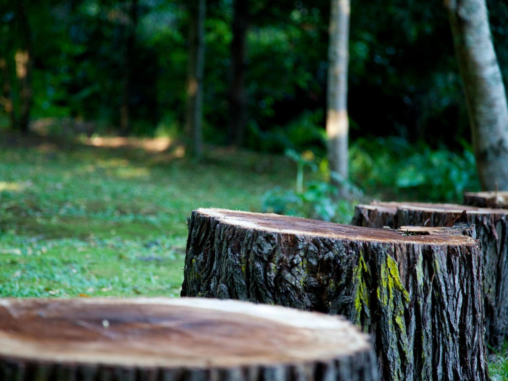 Andelomi Nature's Rest