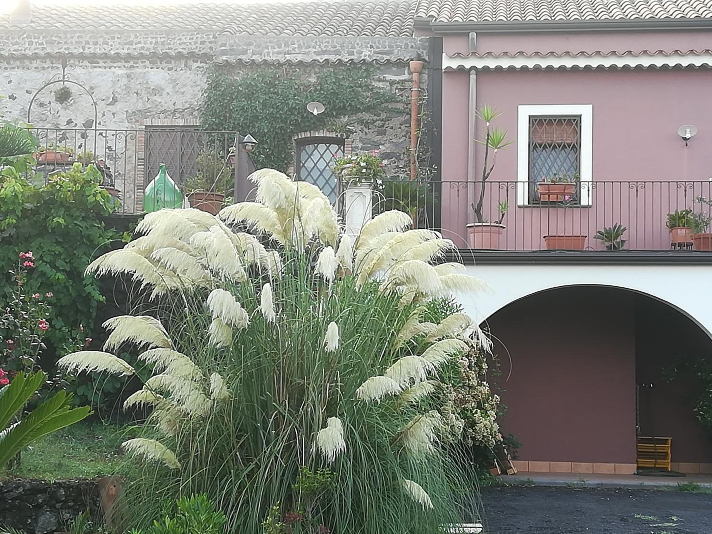 Etnante view 5