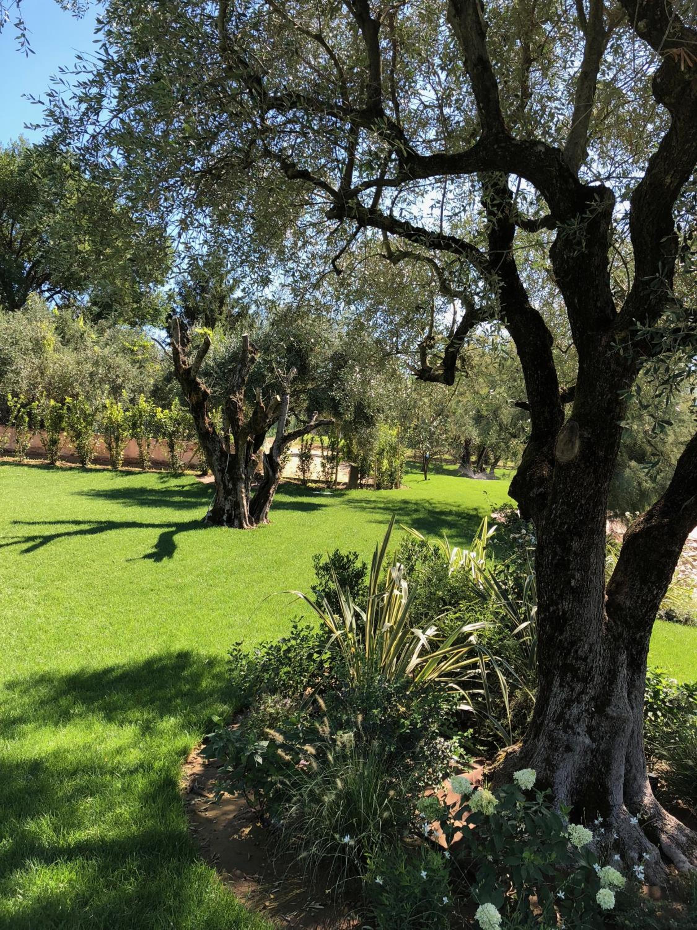 Villa Il Bacio del Sole