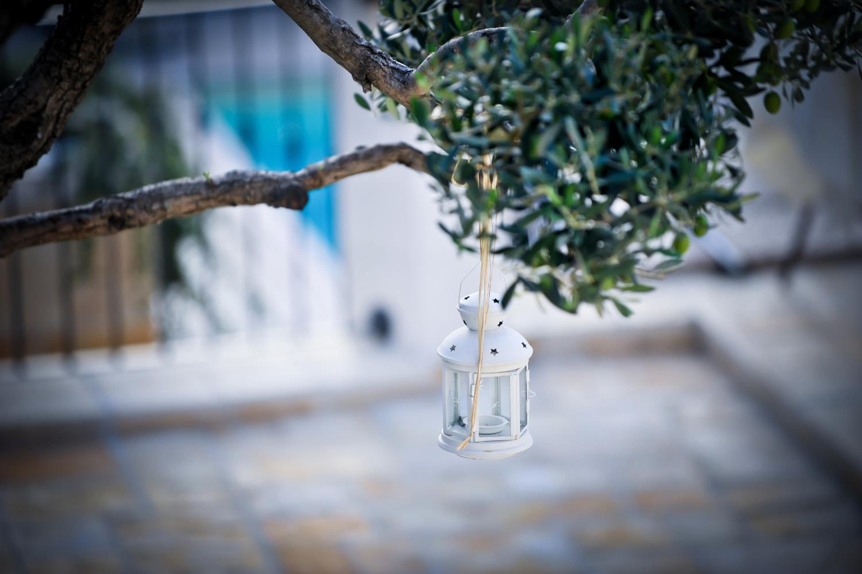 Savito Guest House photo 3