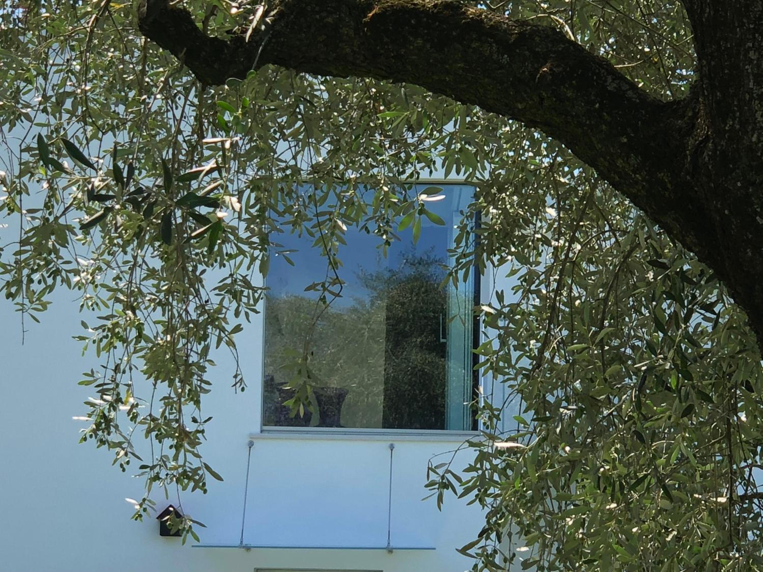 Villa Il Bacio del Sole