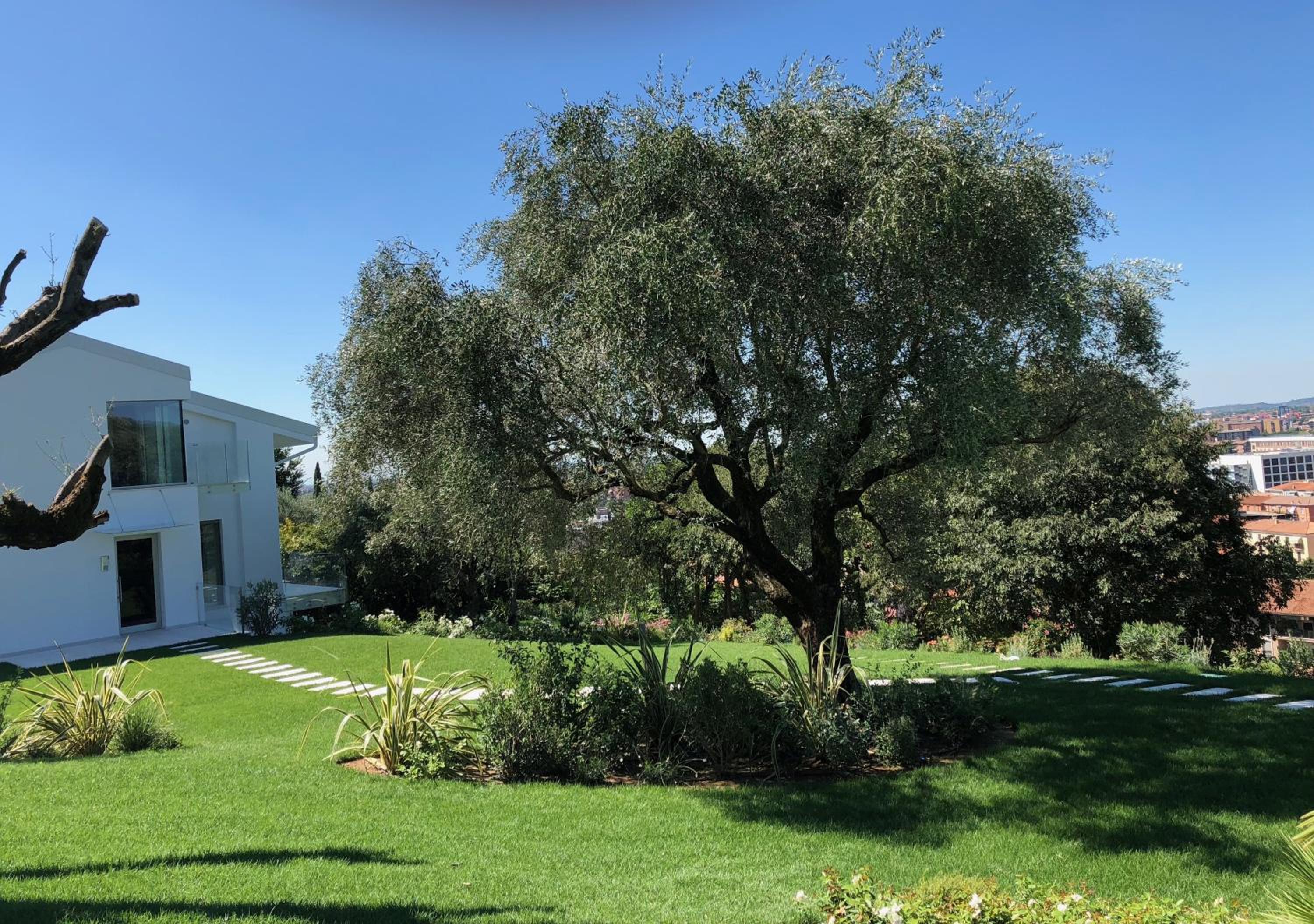 Villa Il Bacio del Sole