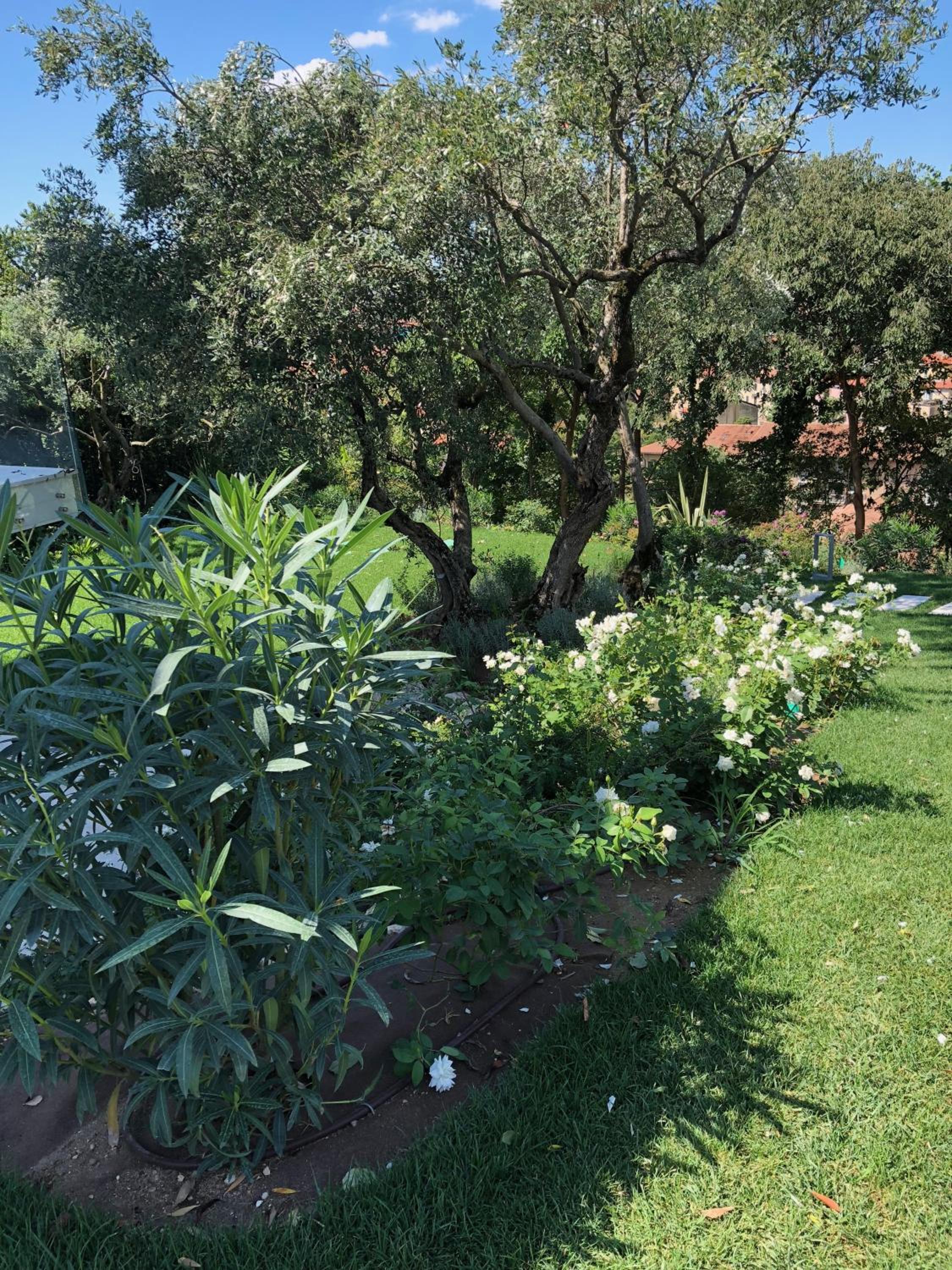 Villa Il Bacio del Sole