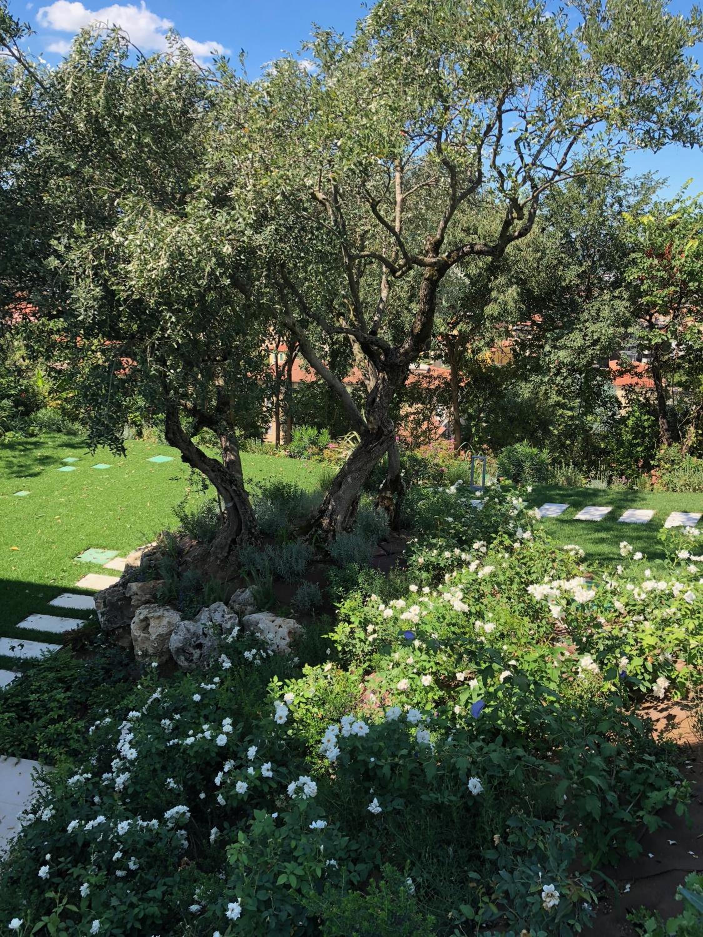 Villa Il Bacio del Sole