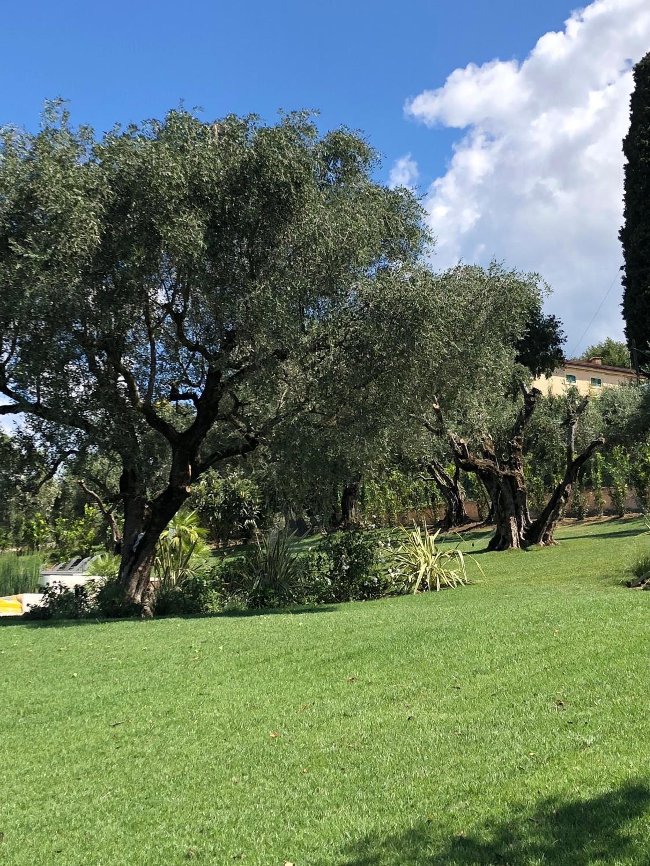 Villa Il Bacio del Sole
