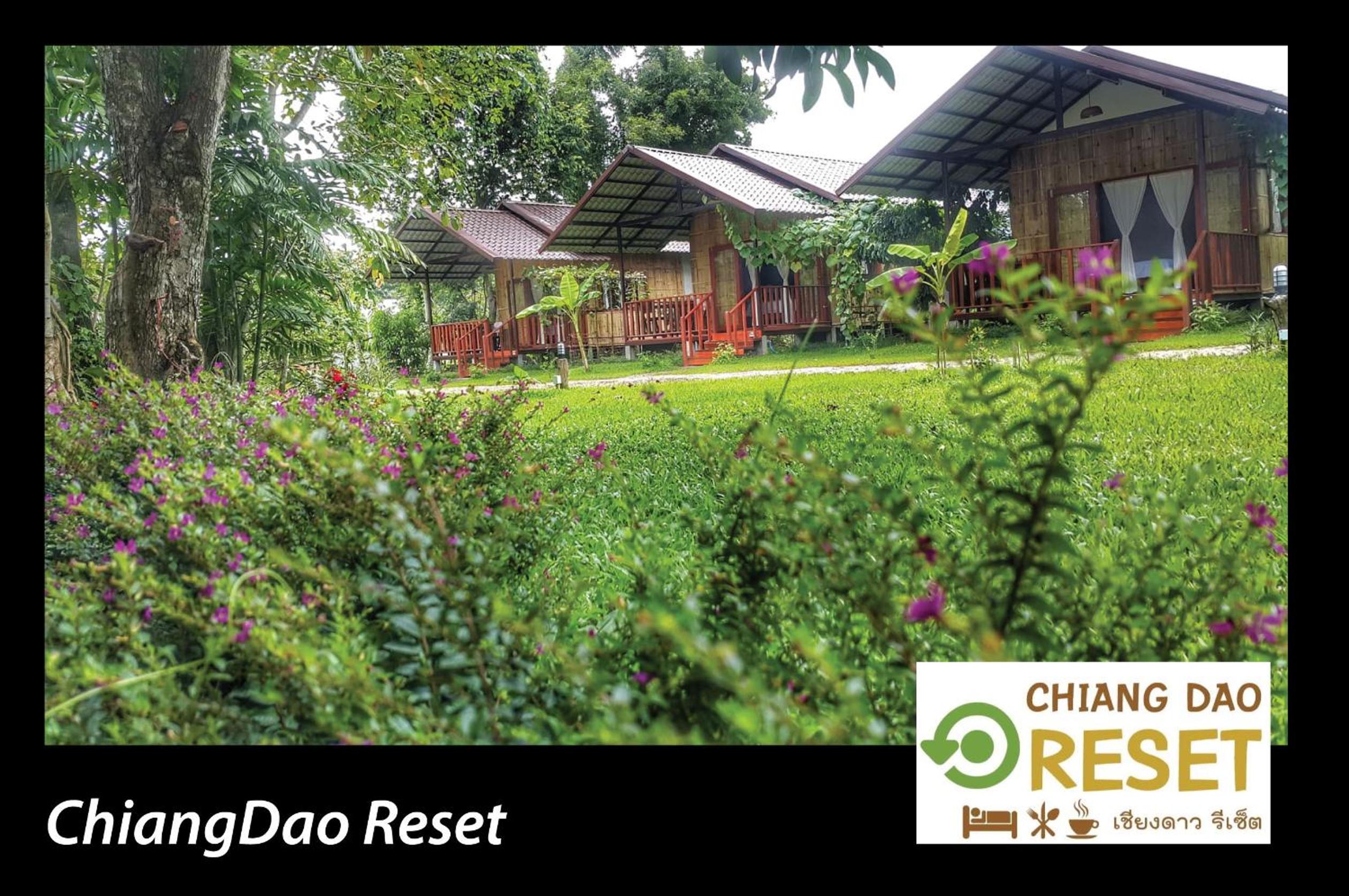 Chiang Dao Reset view 5