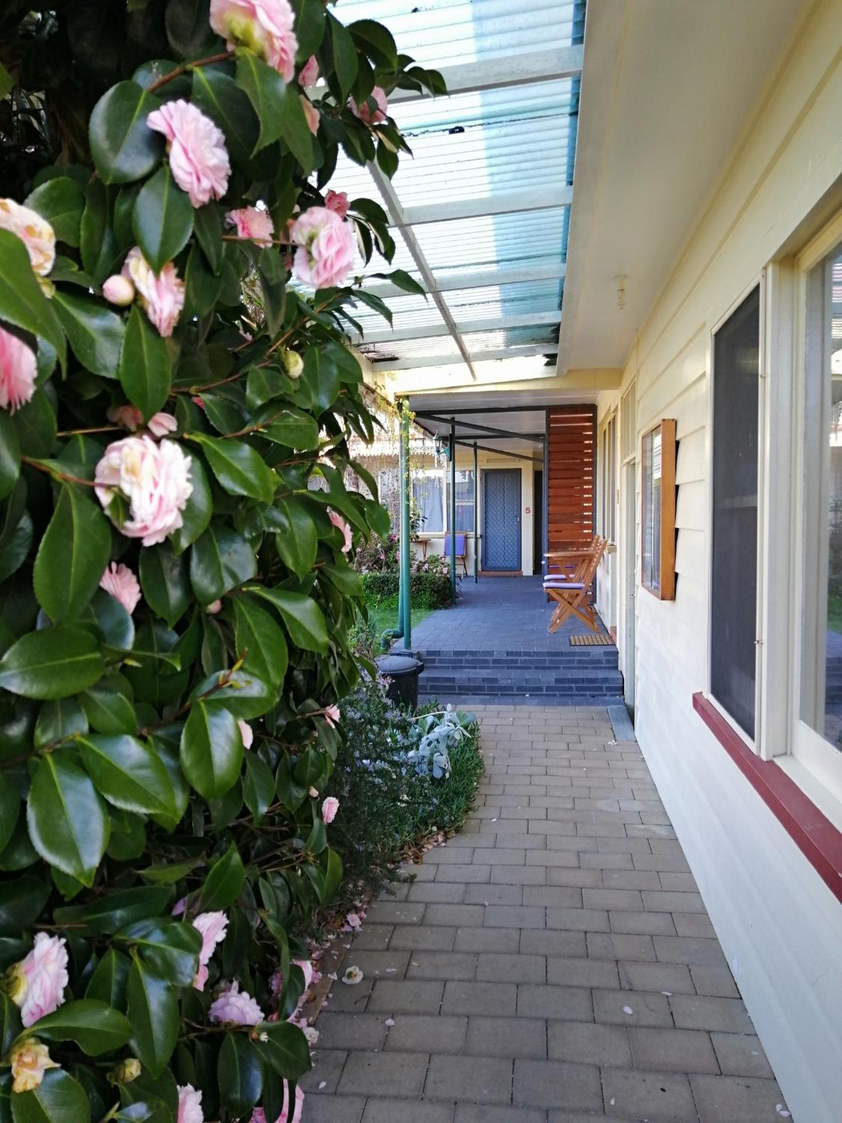 Wintersun Motel