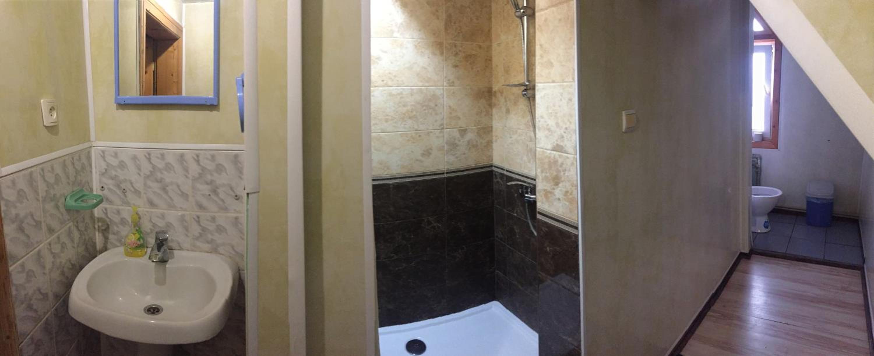 Guest house Dvir Pysanka, photo 66