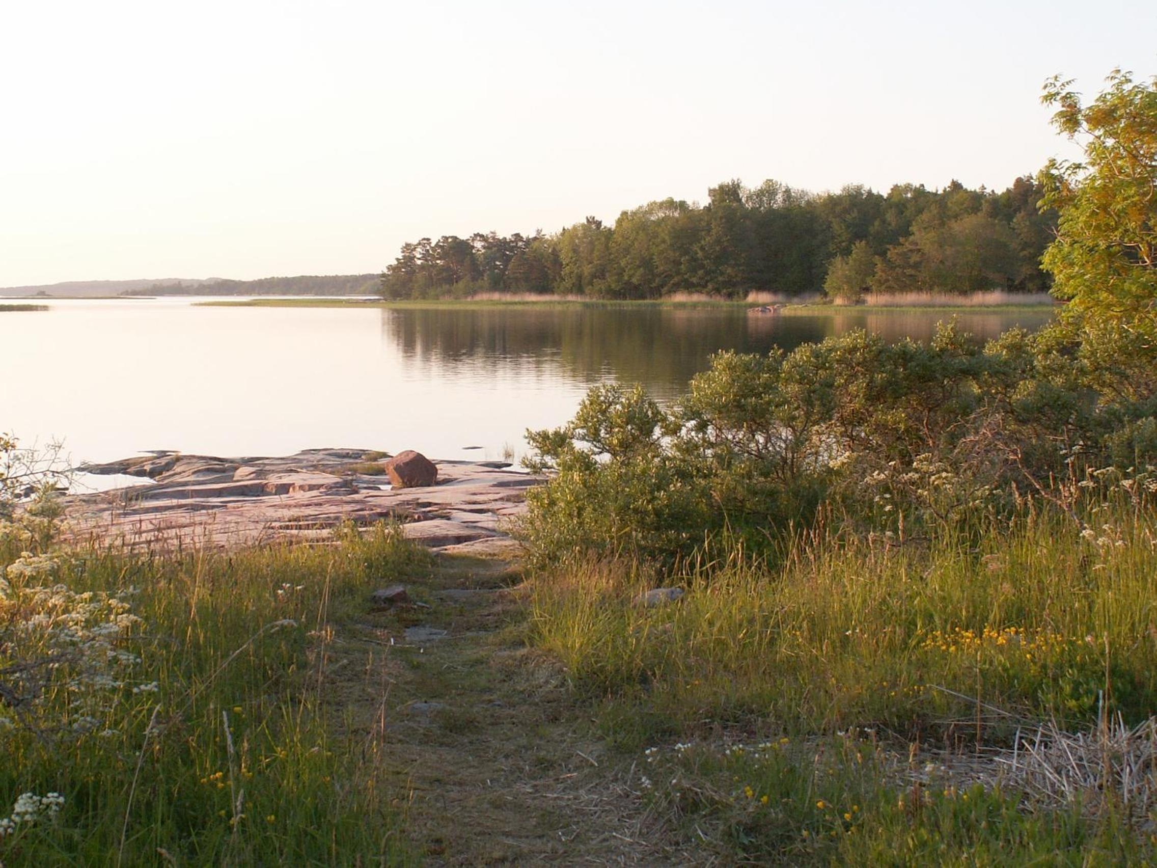 Photo 13