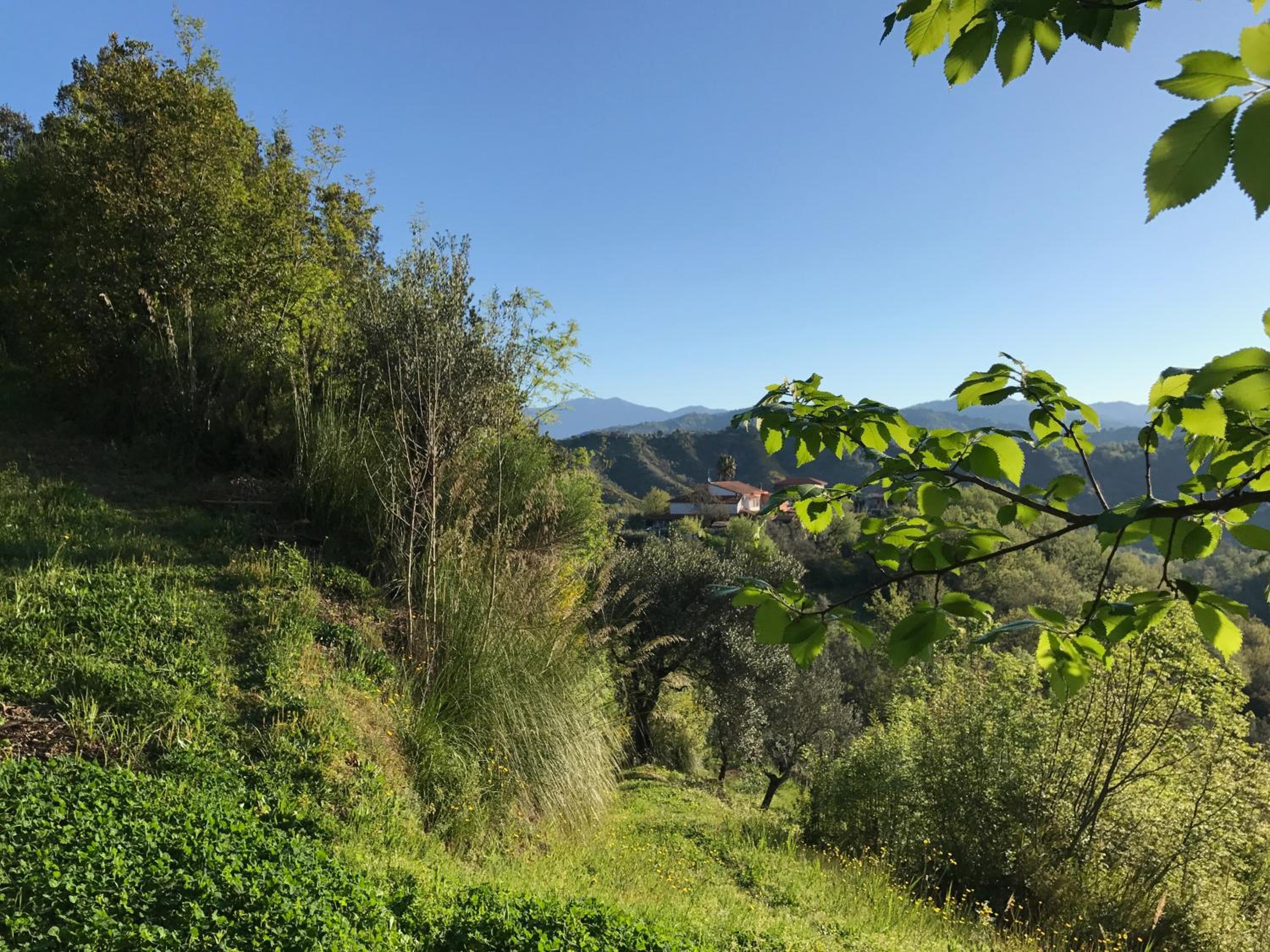 Benvenuti Nel Sud