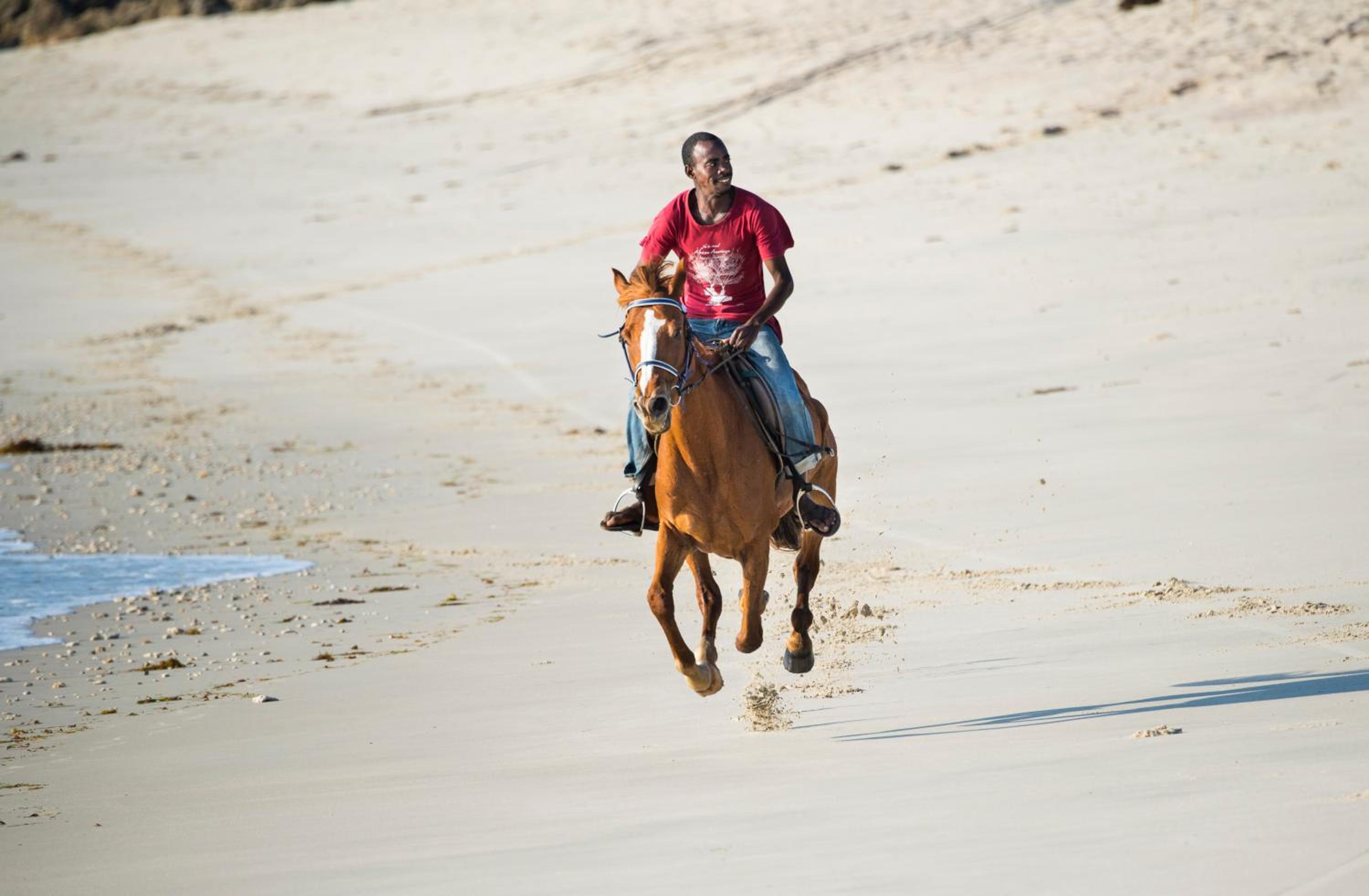 Amani Beach Resort