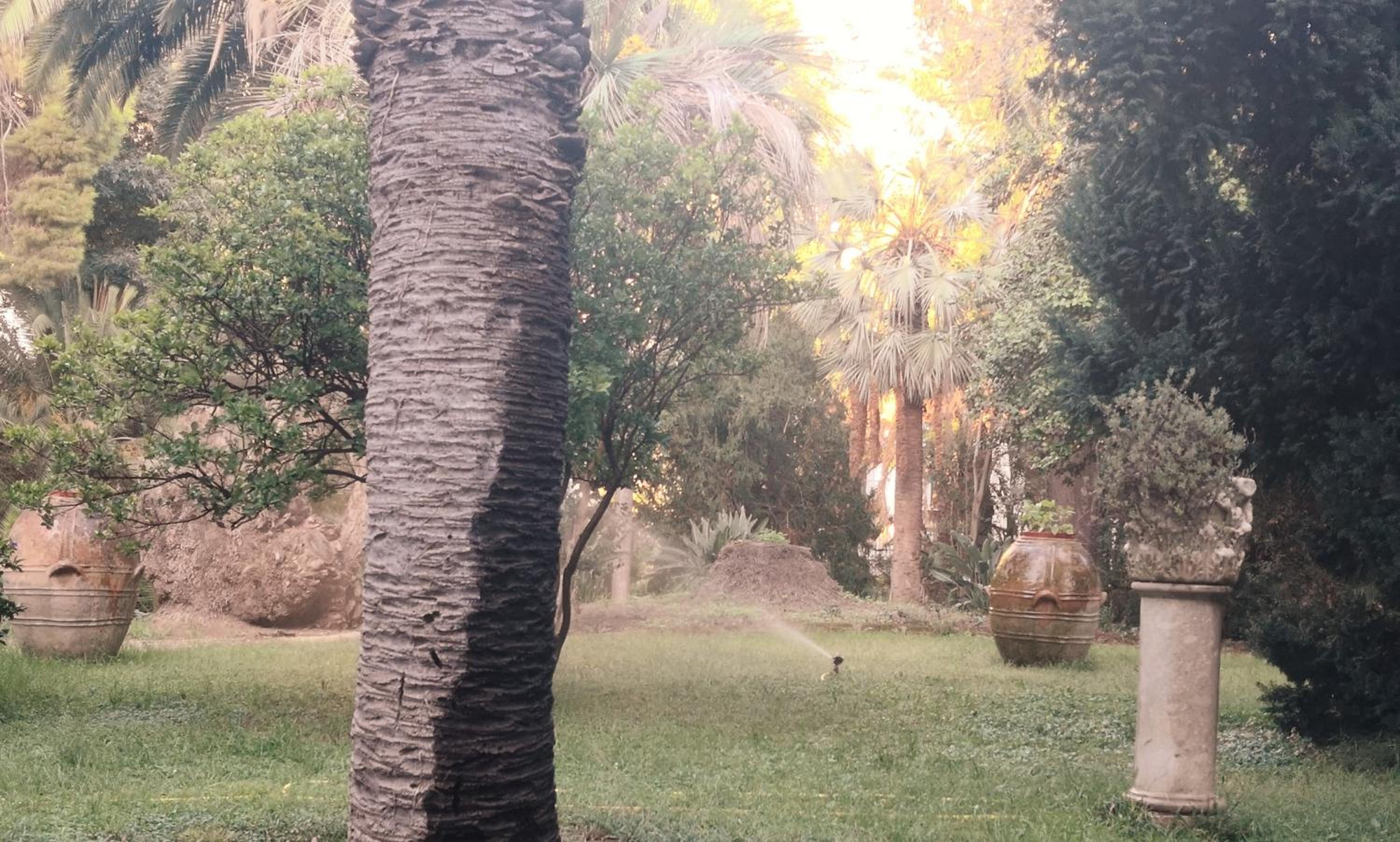 Casa Wenner 2