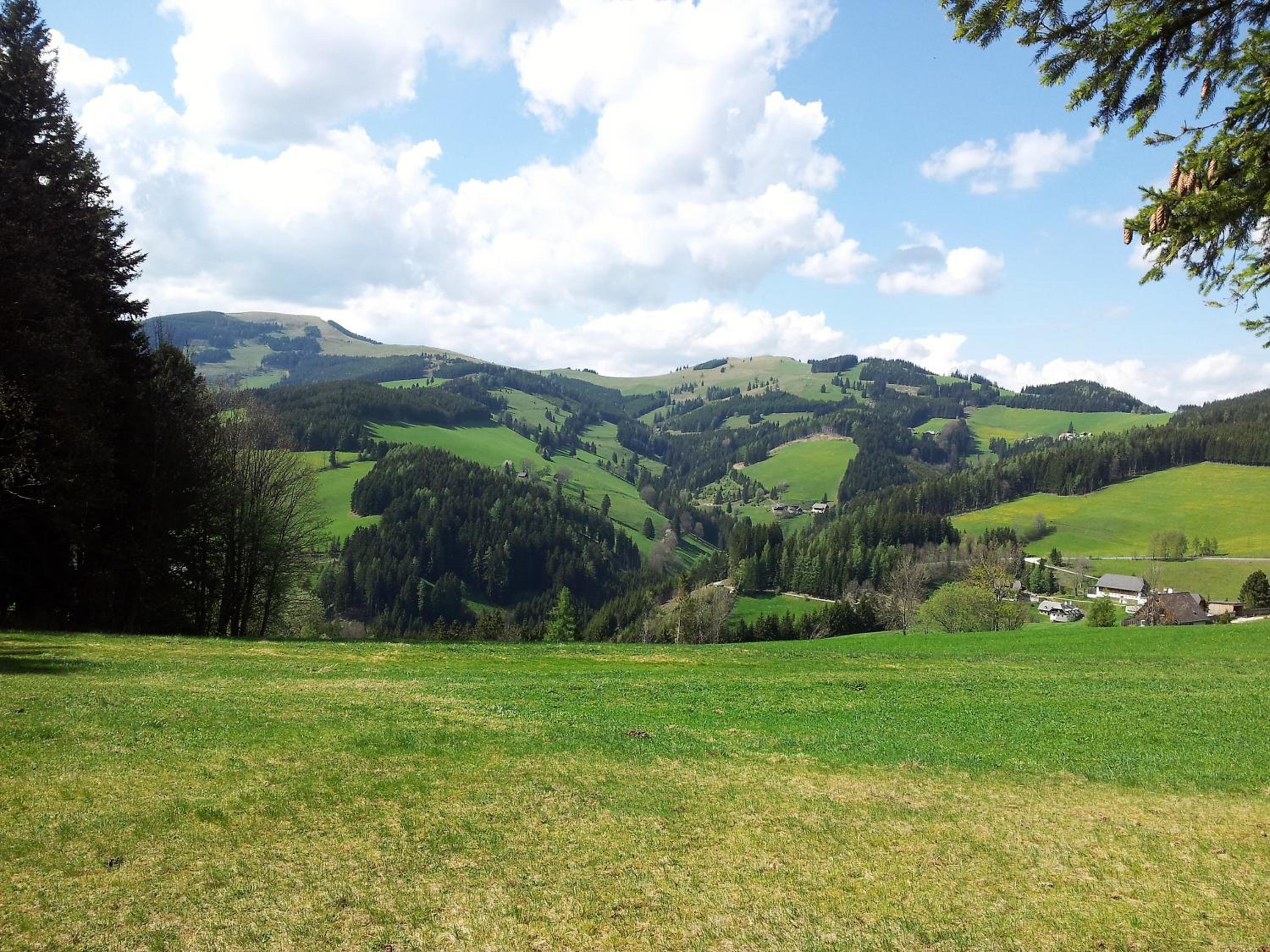 Schweighofers Almhaus view 3