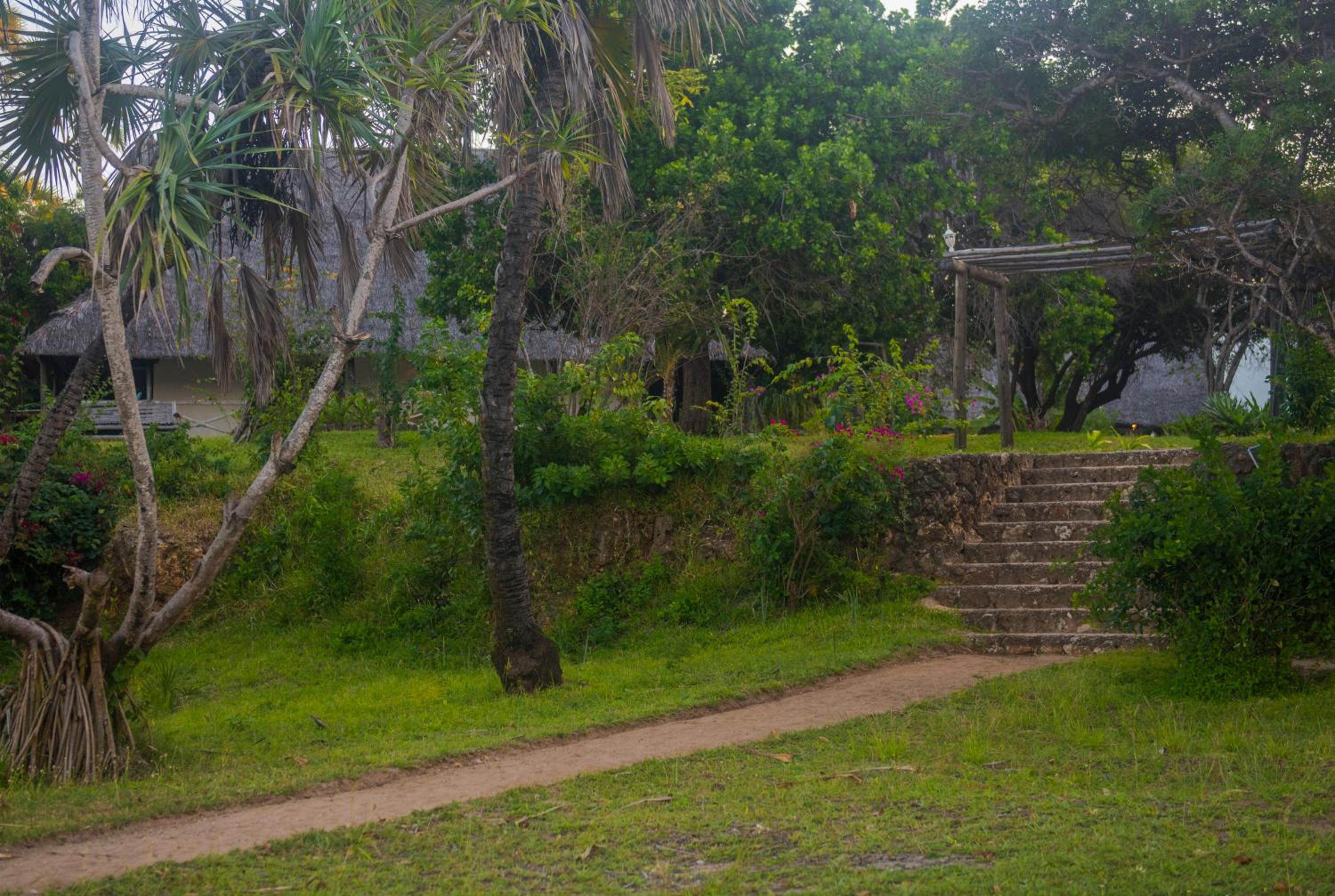 Amani Beach Resort