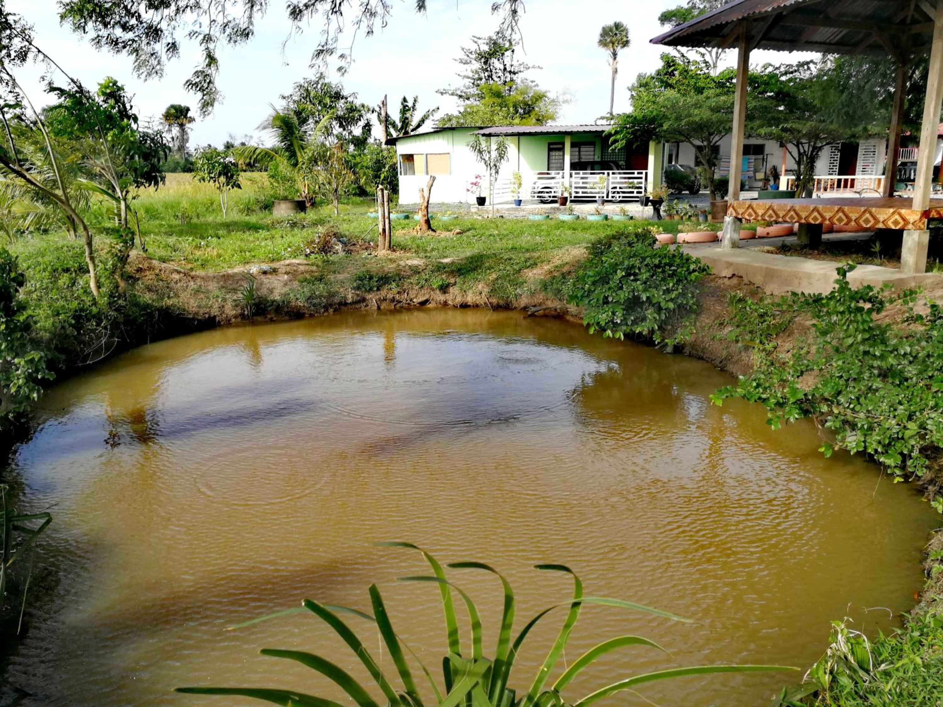 Photo 14