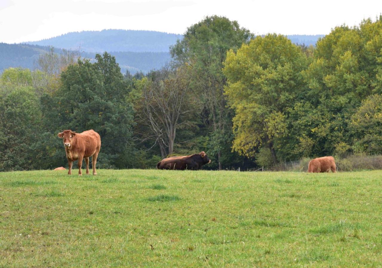 Ferienhaus Vulkaneifel Kopp