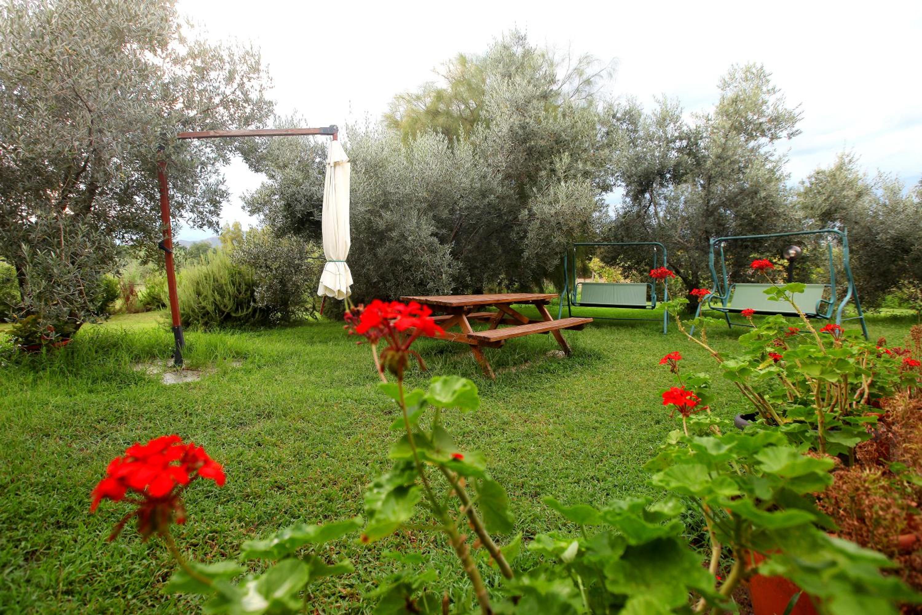 Photo 8