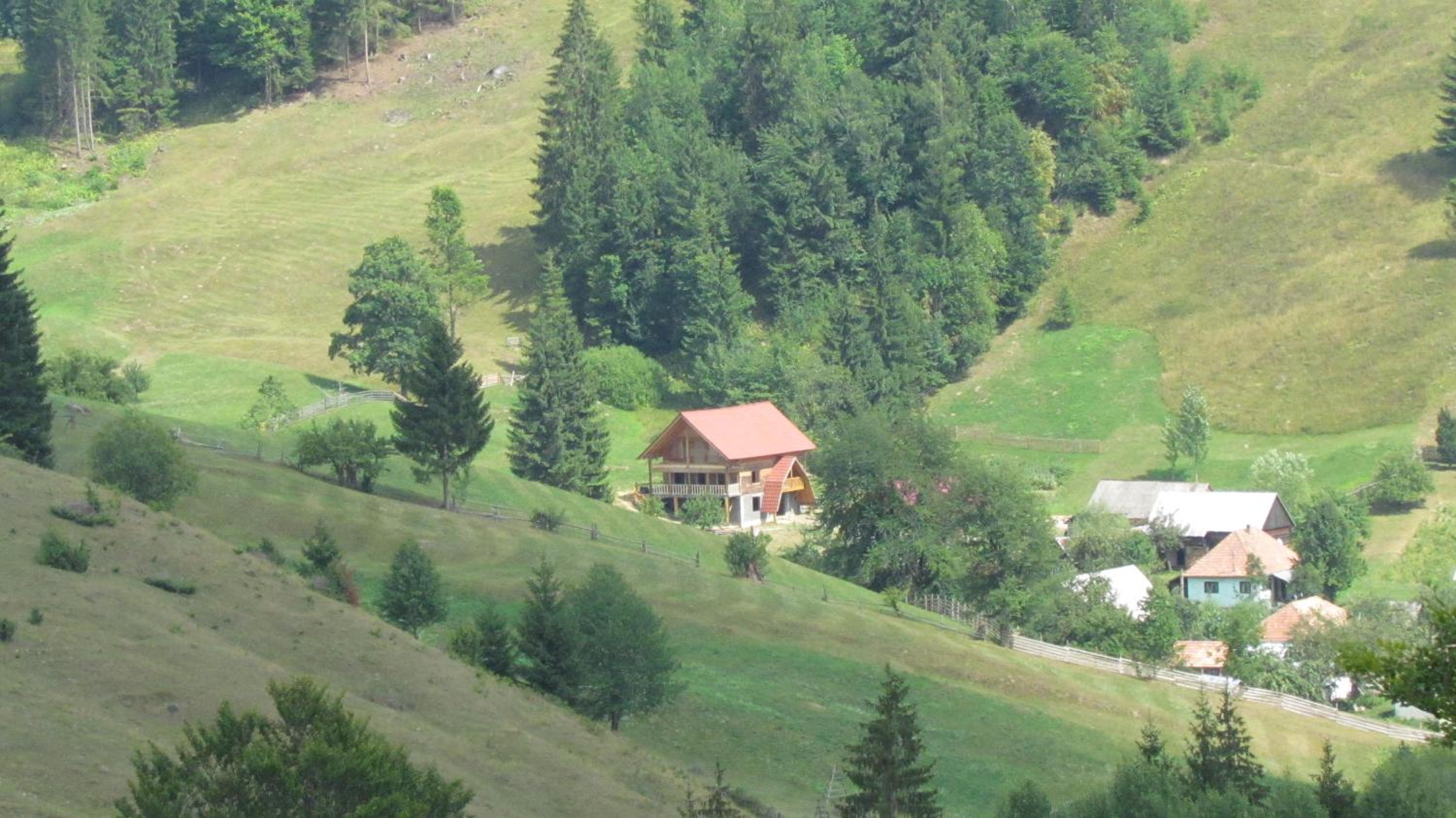 Photo 40