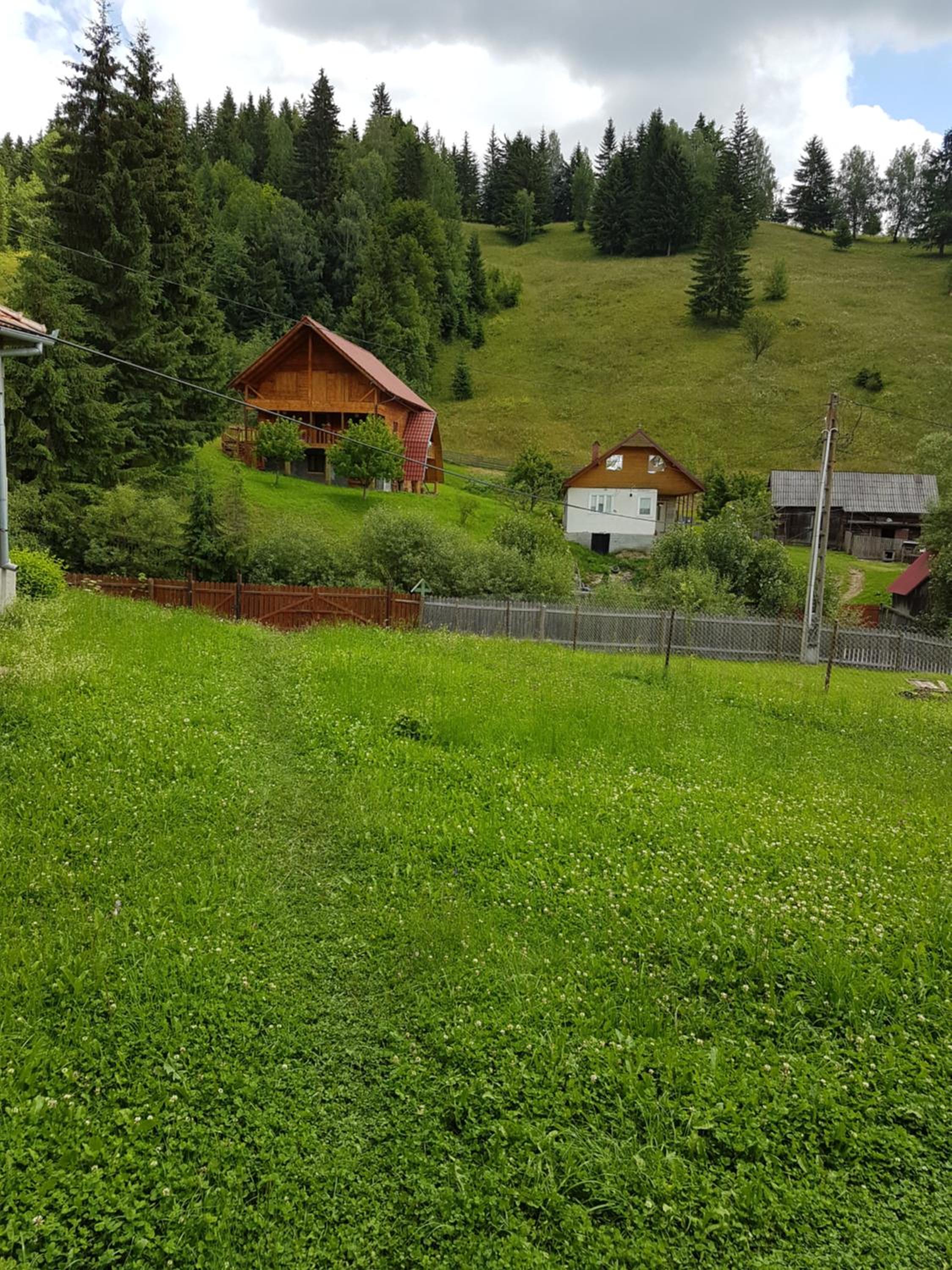 Photo 28
