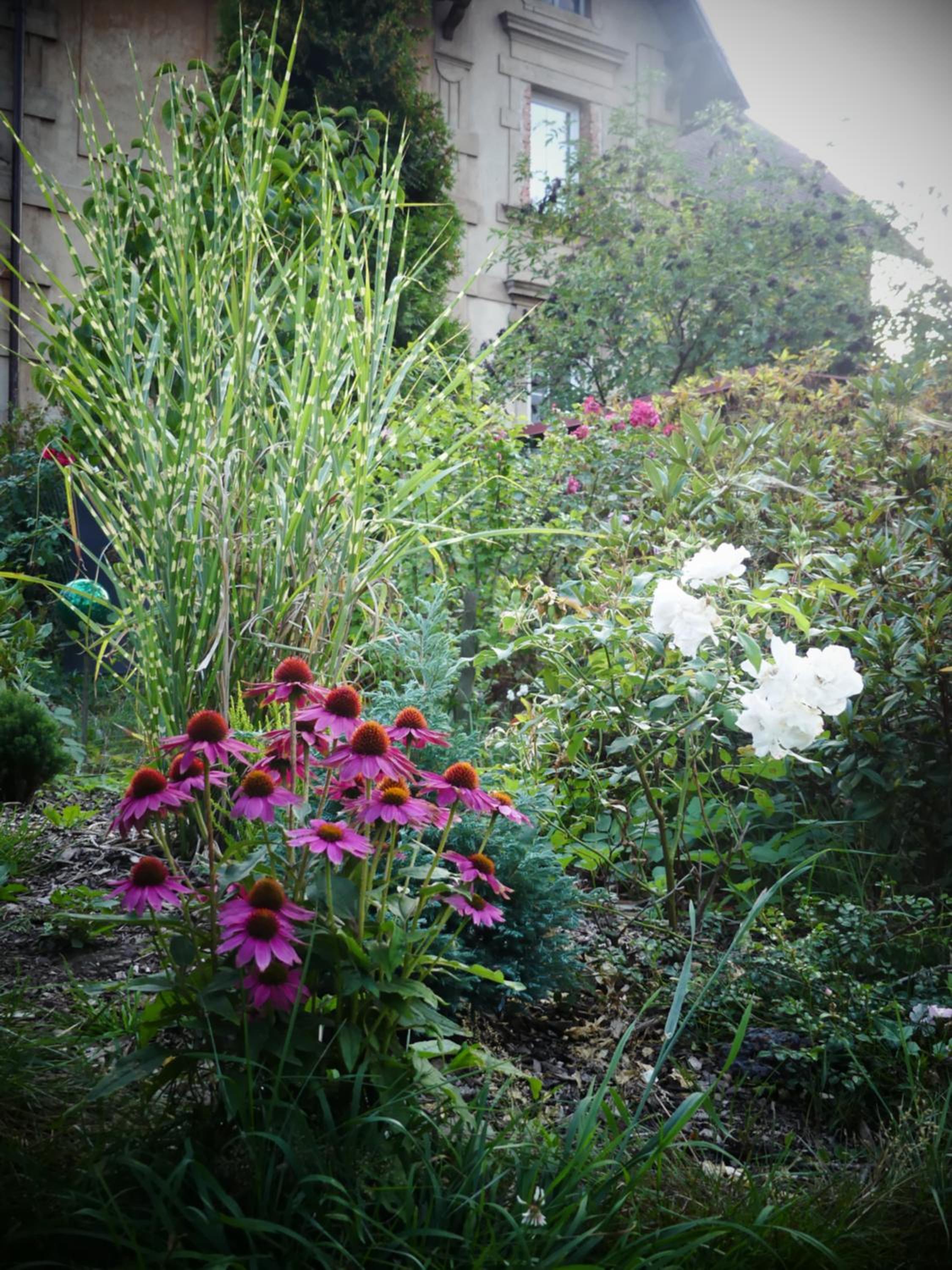 Photo 53