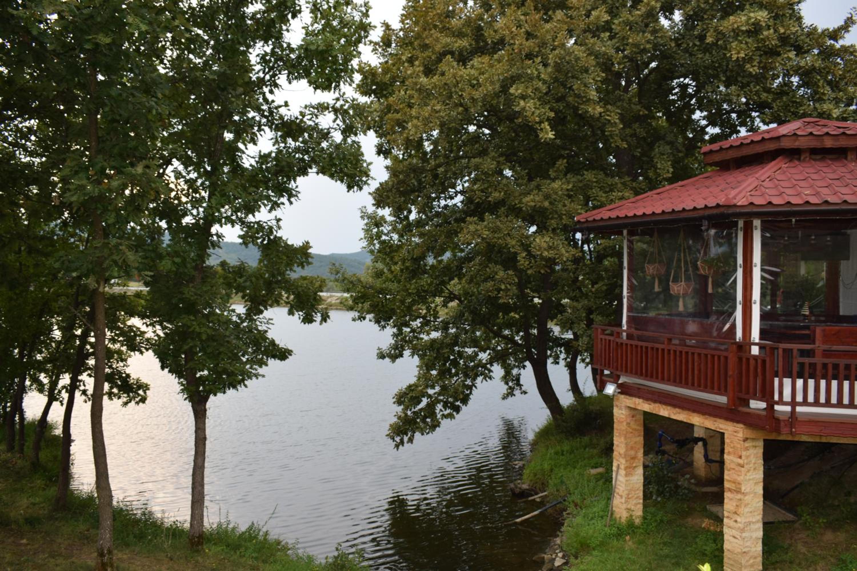 Photo 17