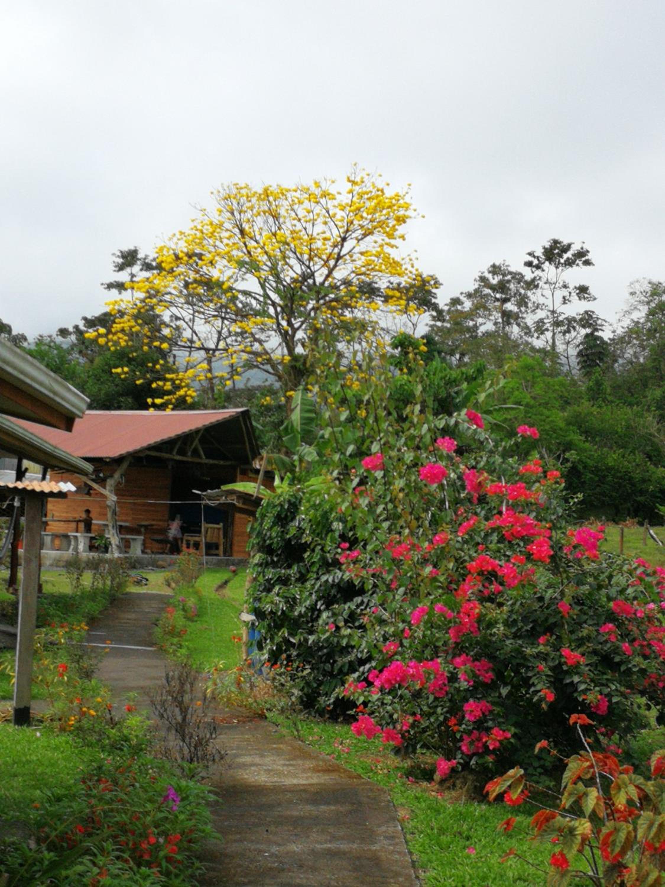 Tío Felix Eco Lodge