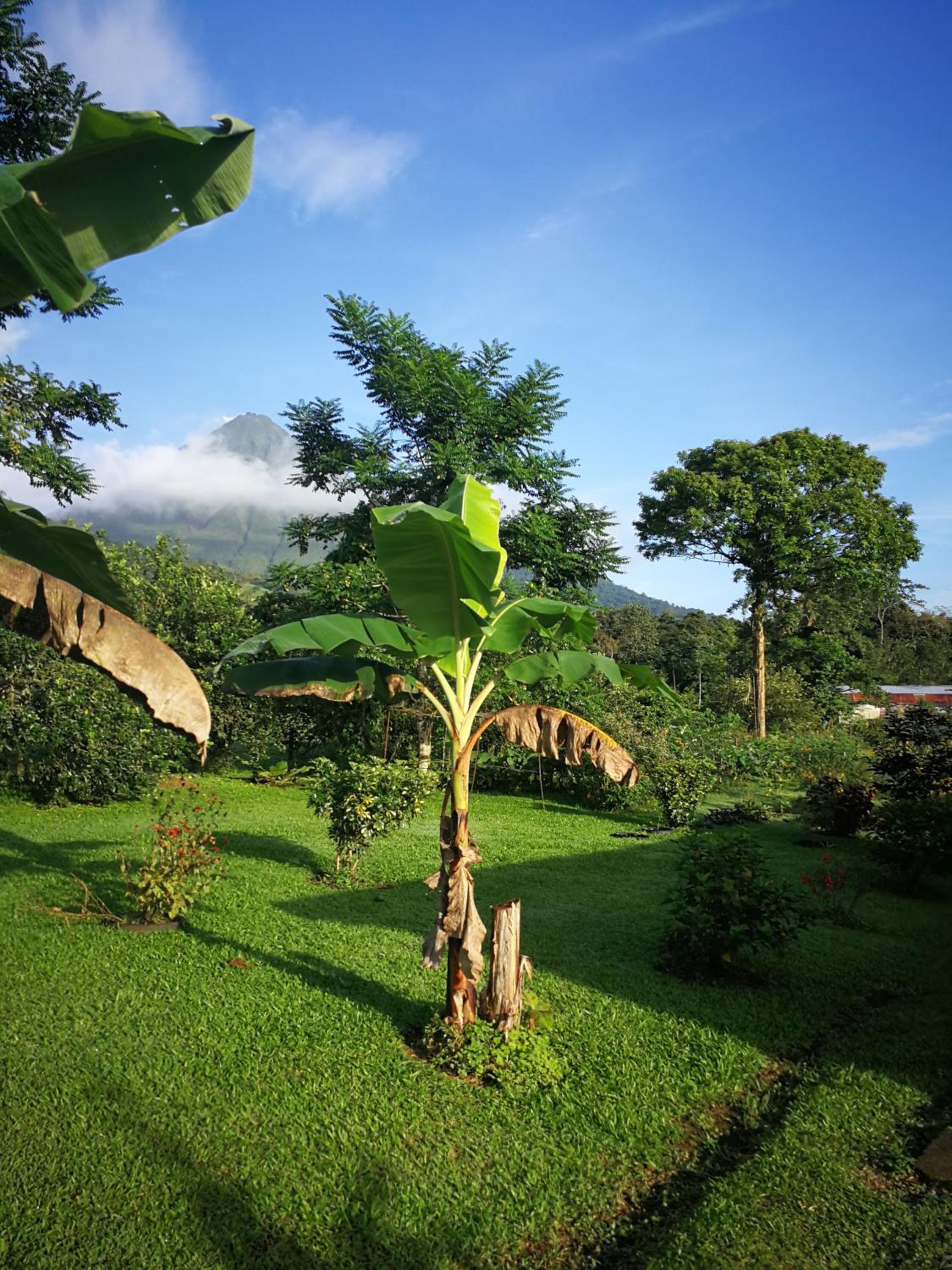 Tío Felix Eco Lodge