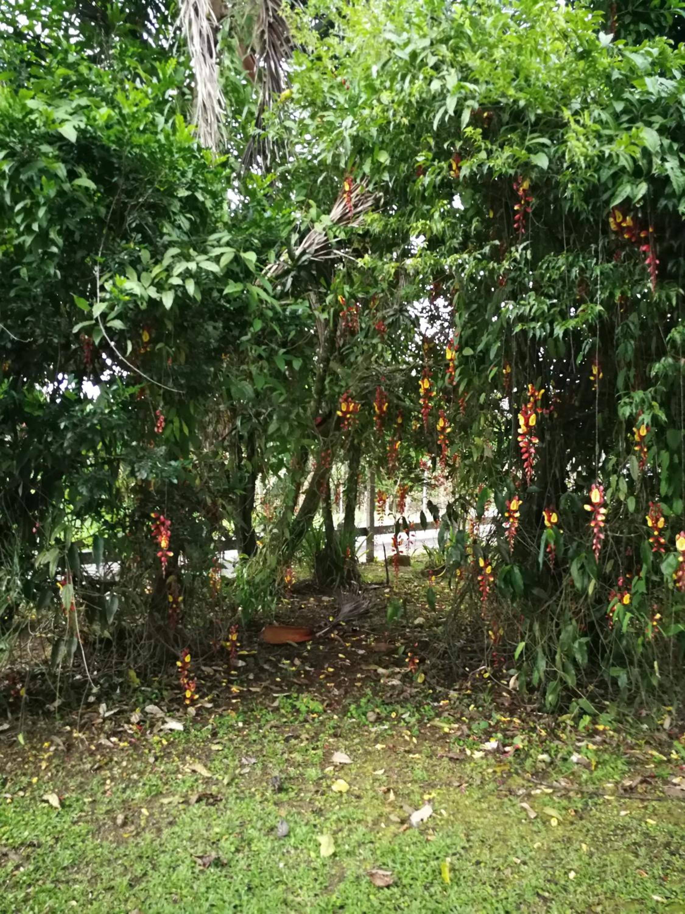Tío Felix Eco Lodge